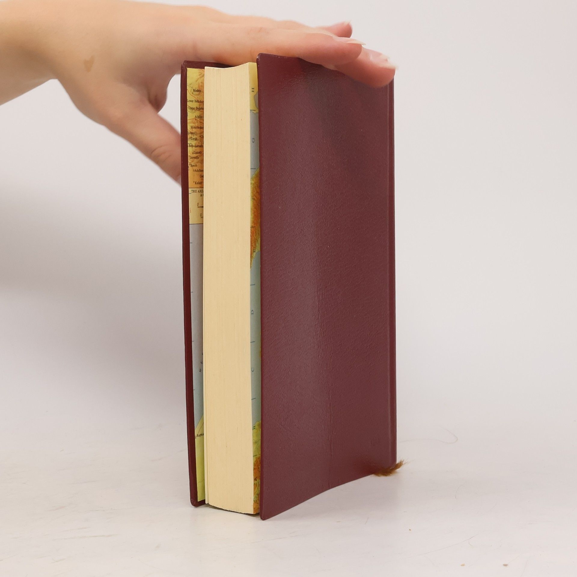 Autorenkollektiv The Greek New Testament