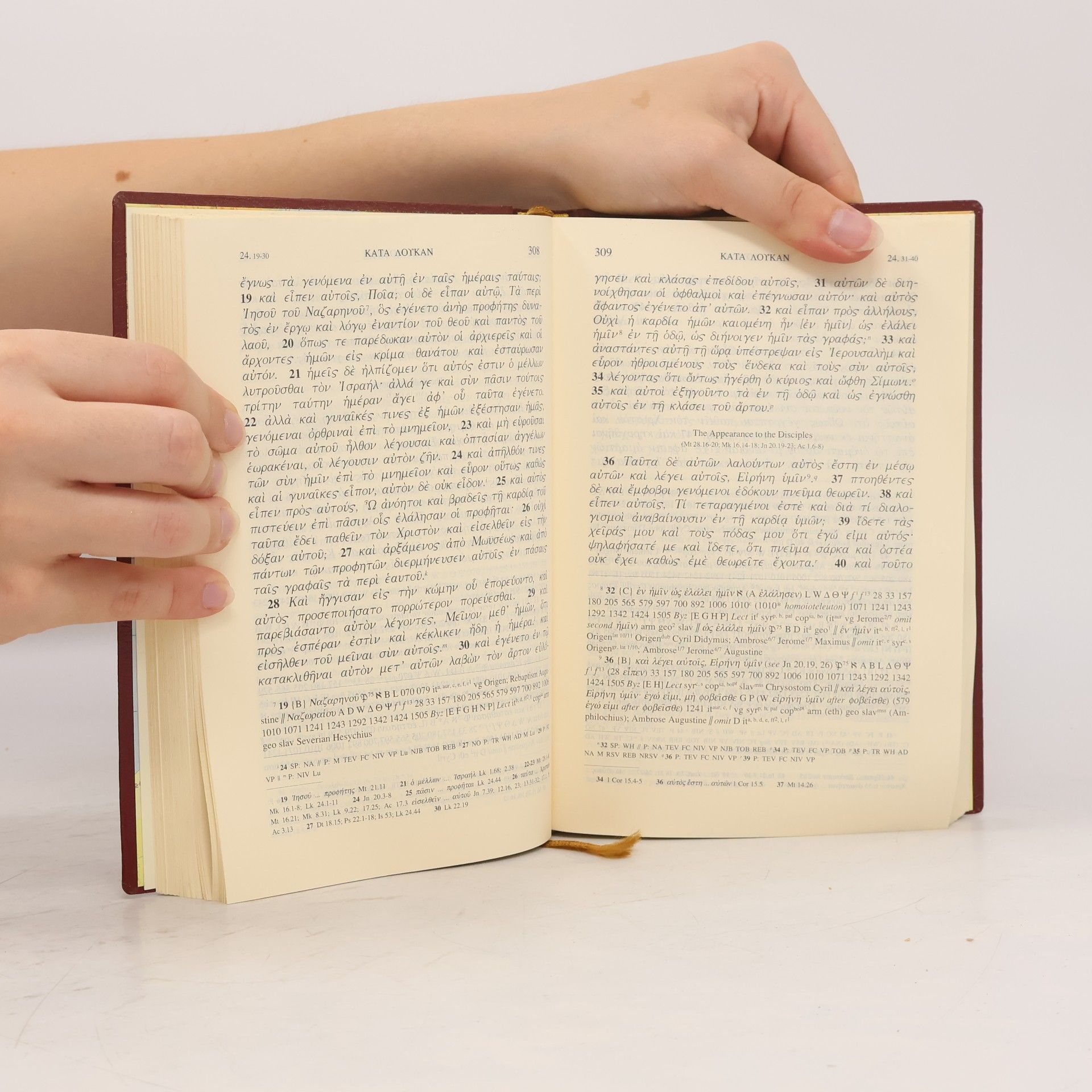 Autorenkollektiv The Greek New Testament