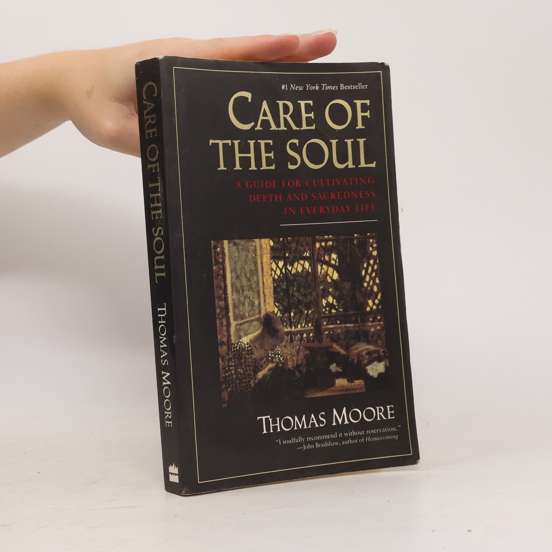 Thomas Moore Care of the soul: A guide for cultivating depth and sacredness in everyday life