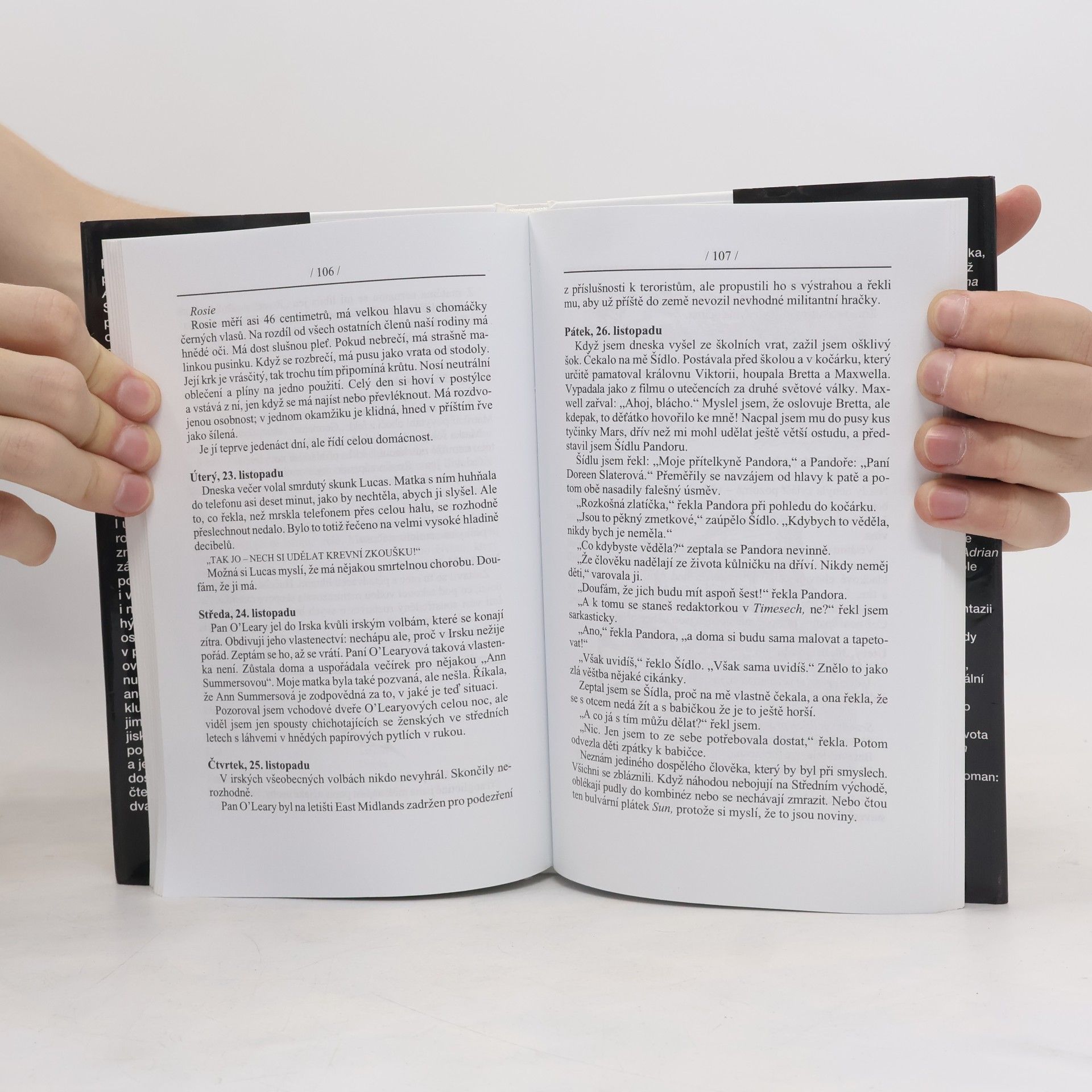 Sue Townsend Hořké zrání Adriana Molea