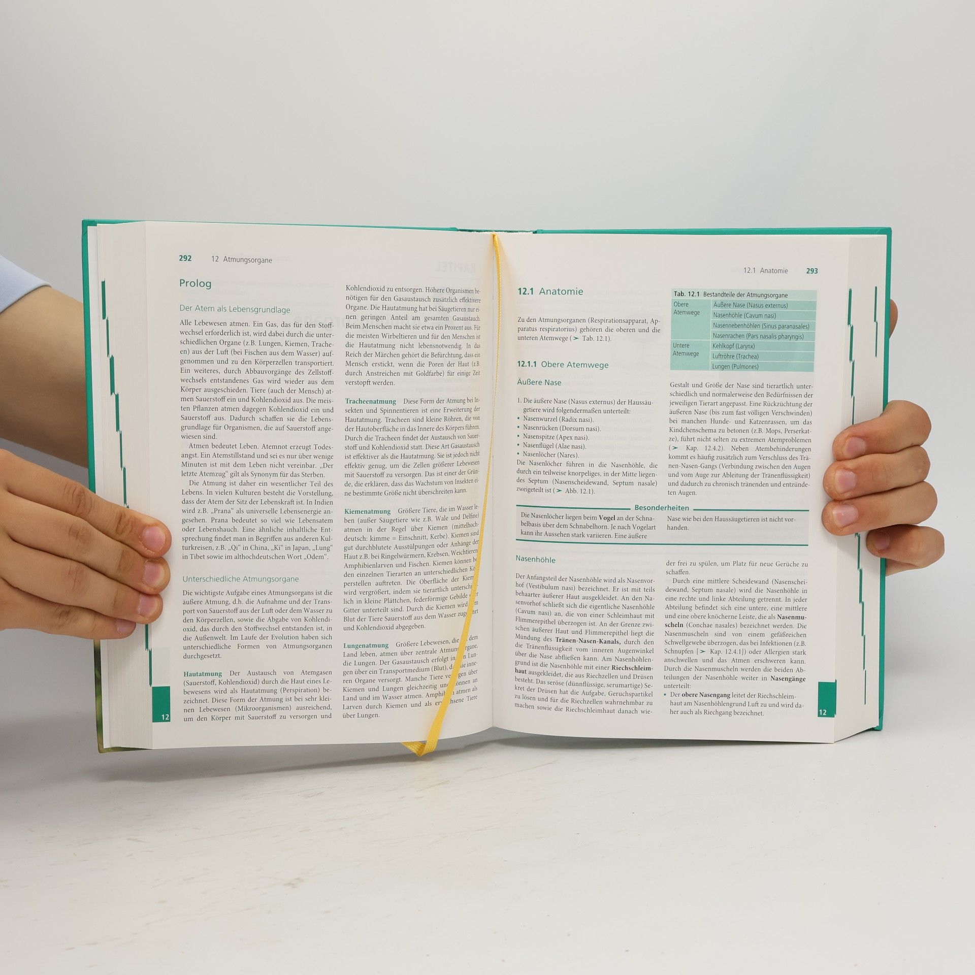 Doris Quinten Basislehrbuch Tierheilpraxis