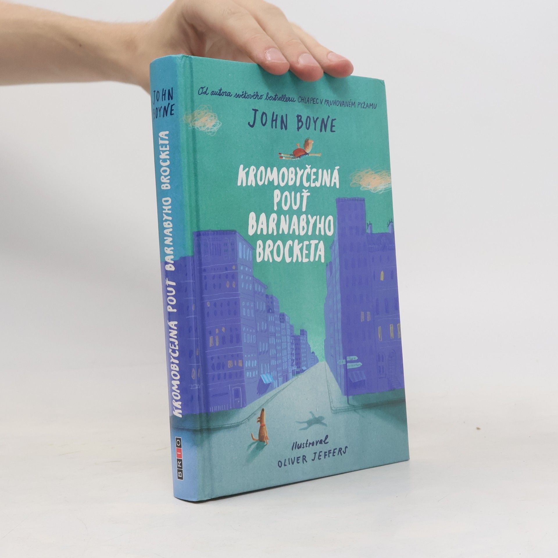 John Boyne Kromobyčejná pouť Barnabyho Brocketa