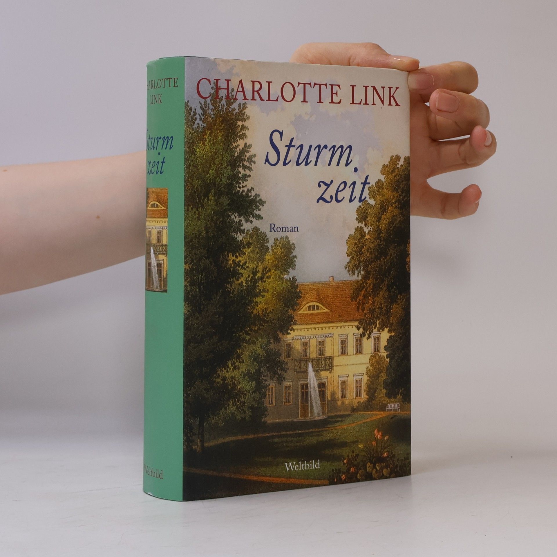 Charlotte Link Sturmzeit