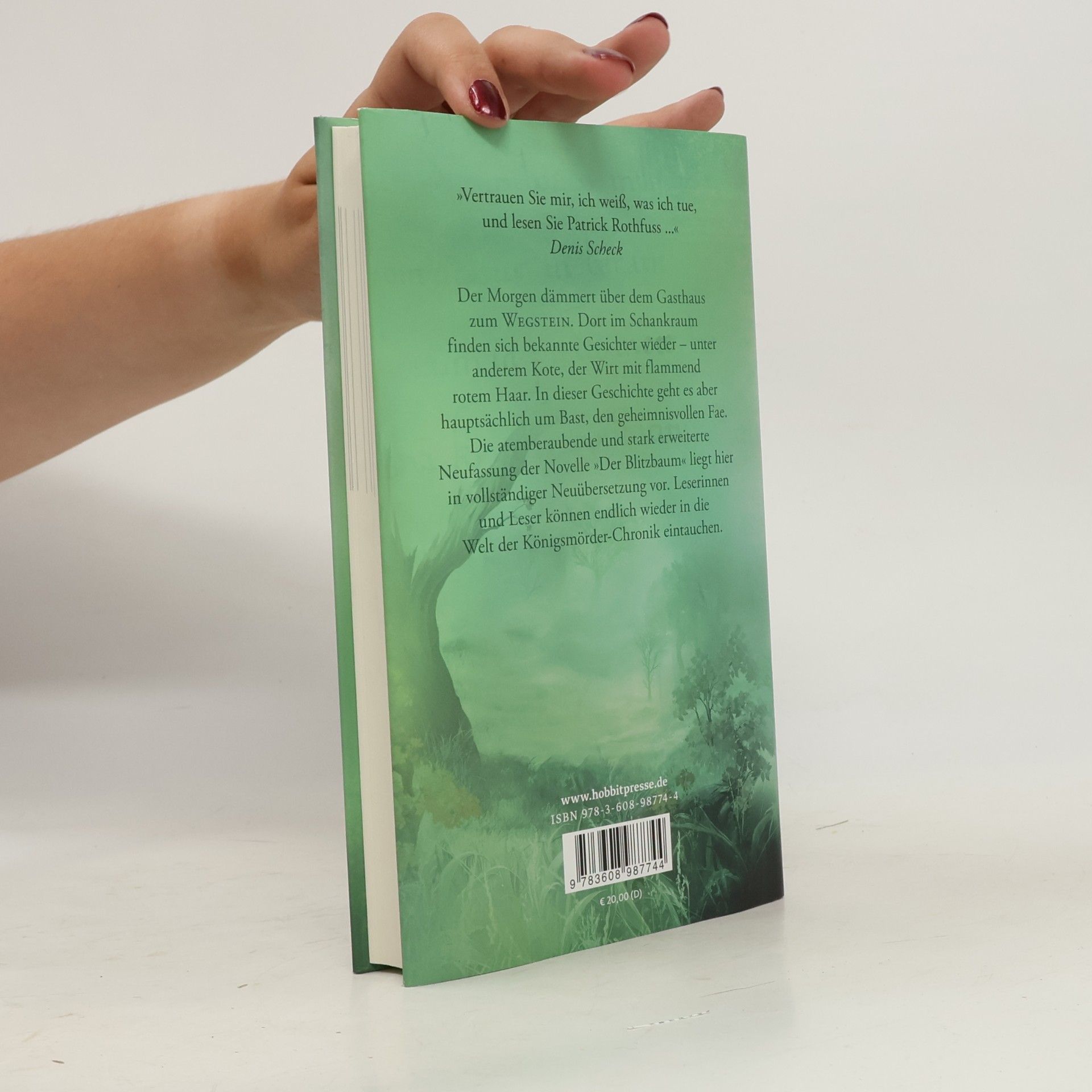 Patrick Rothfuss Der Weg der Wünsche