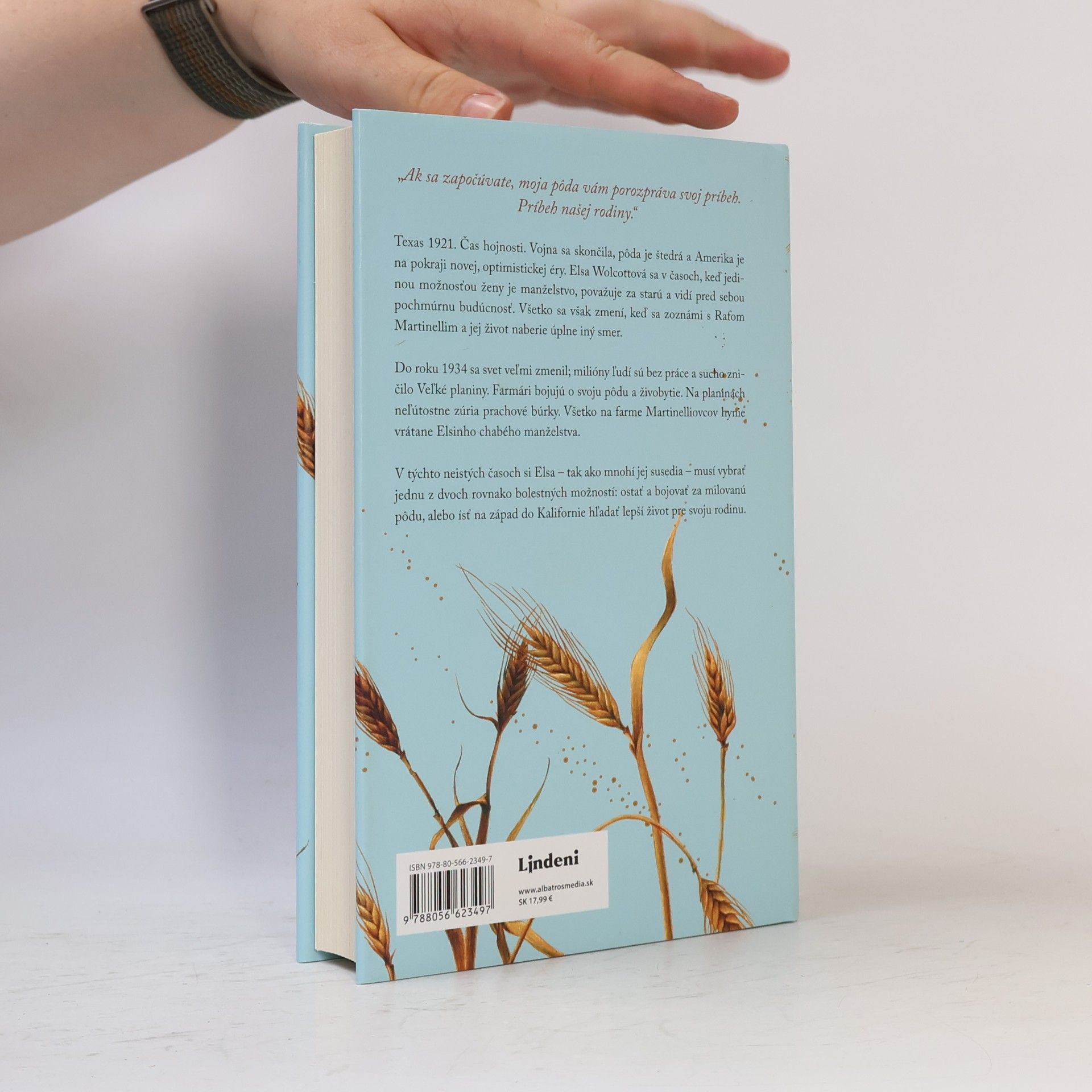 Kristin Hannah Proti vetru
