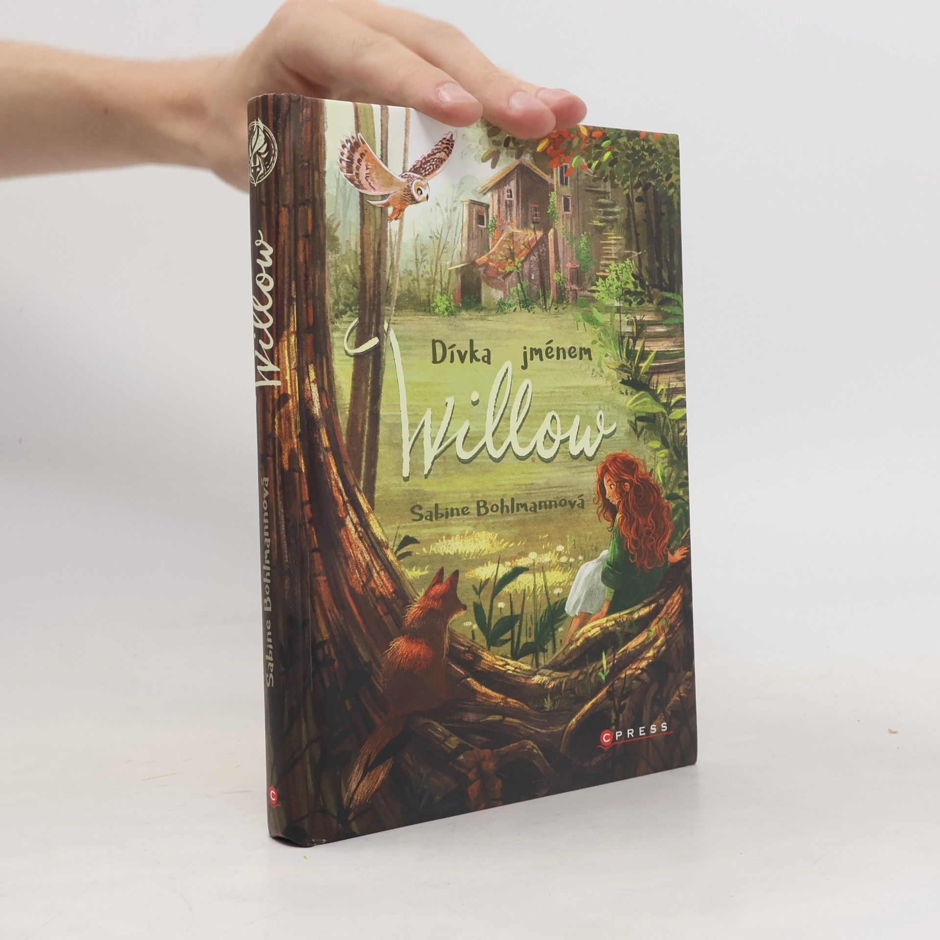 Sabine Bohlmann Dívka jménem Willow
