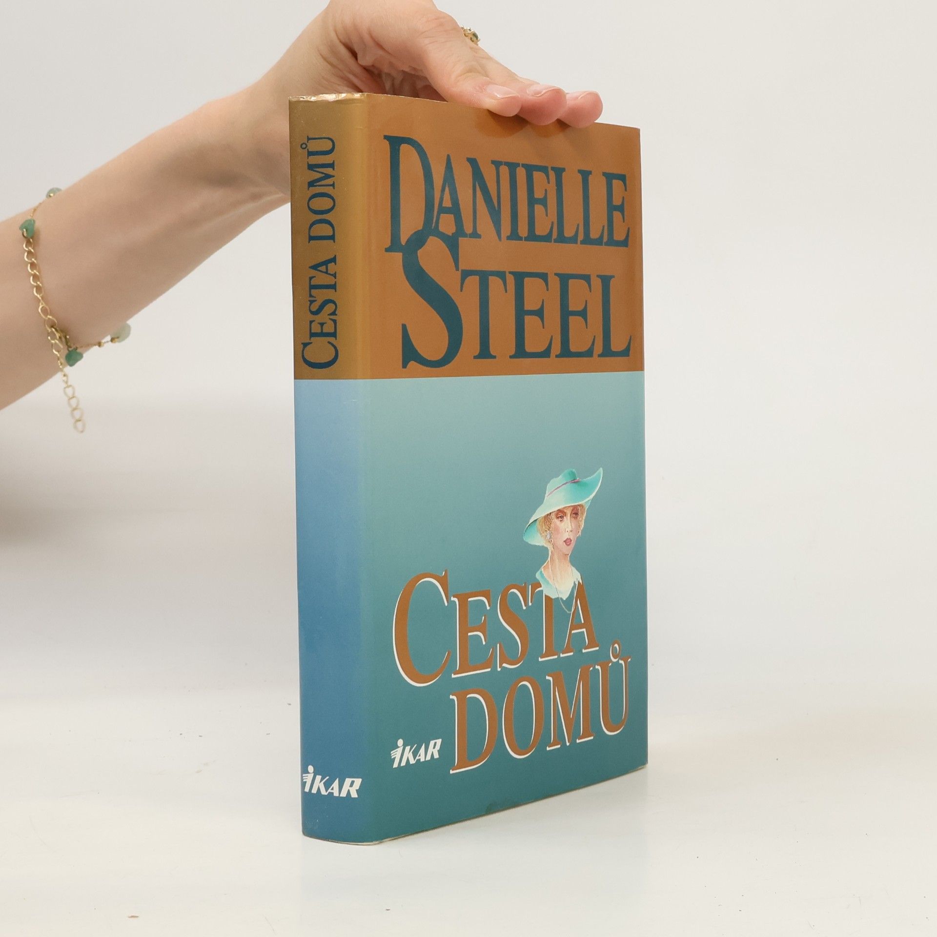 Danielle Steel Cesta domů