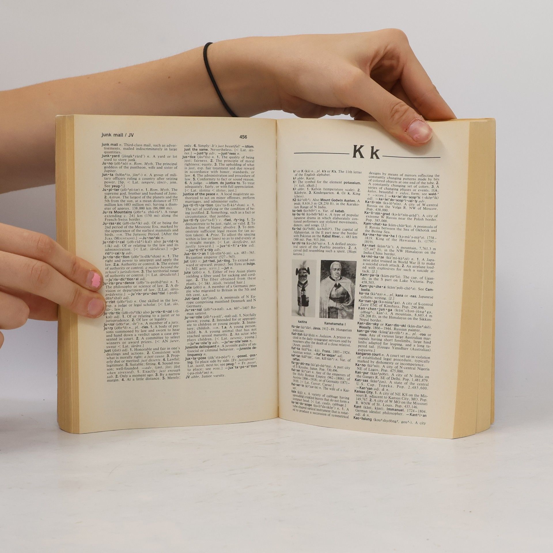 Various authors The American Heritage Dictionary