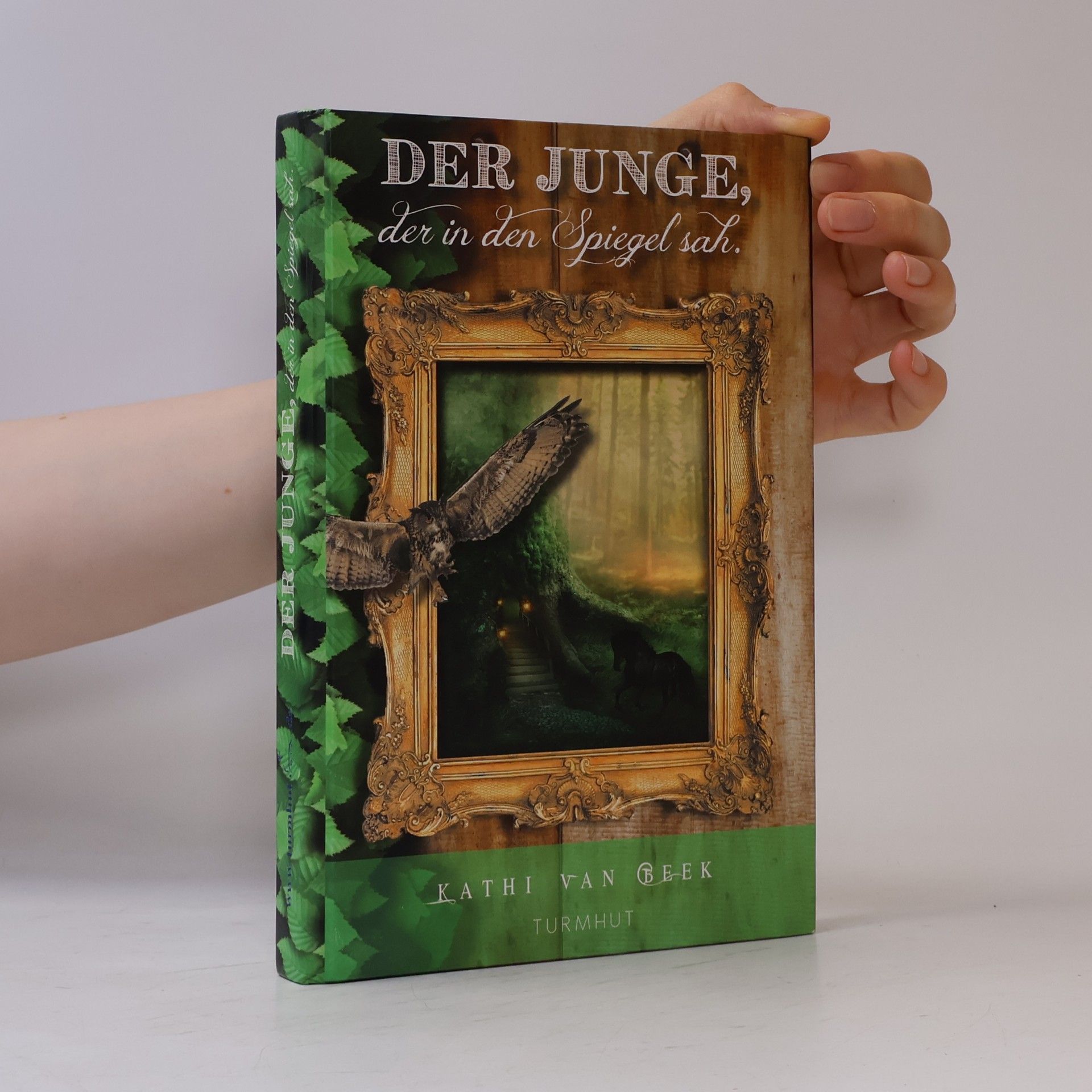 Kathi van Beek Der Junge, der in den Spiegel sah
