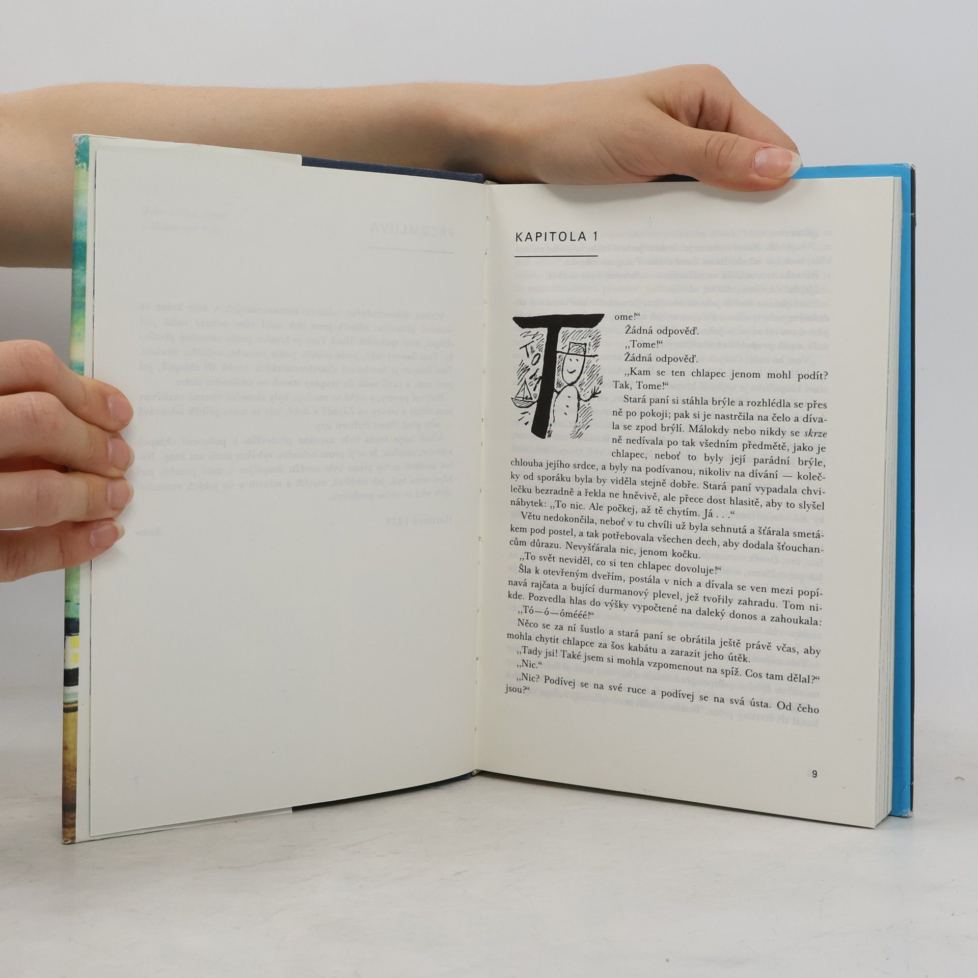 Mark Twain Dobrodružství Toma Sawyera