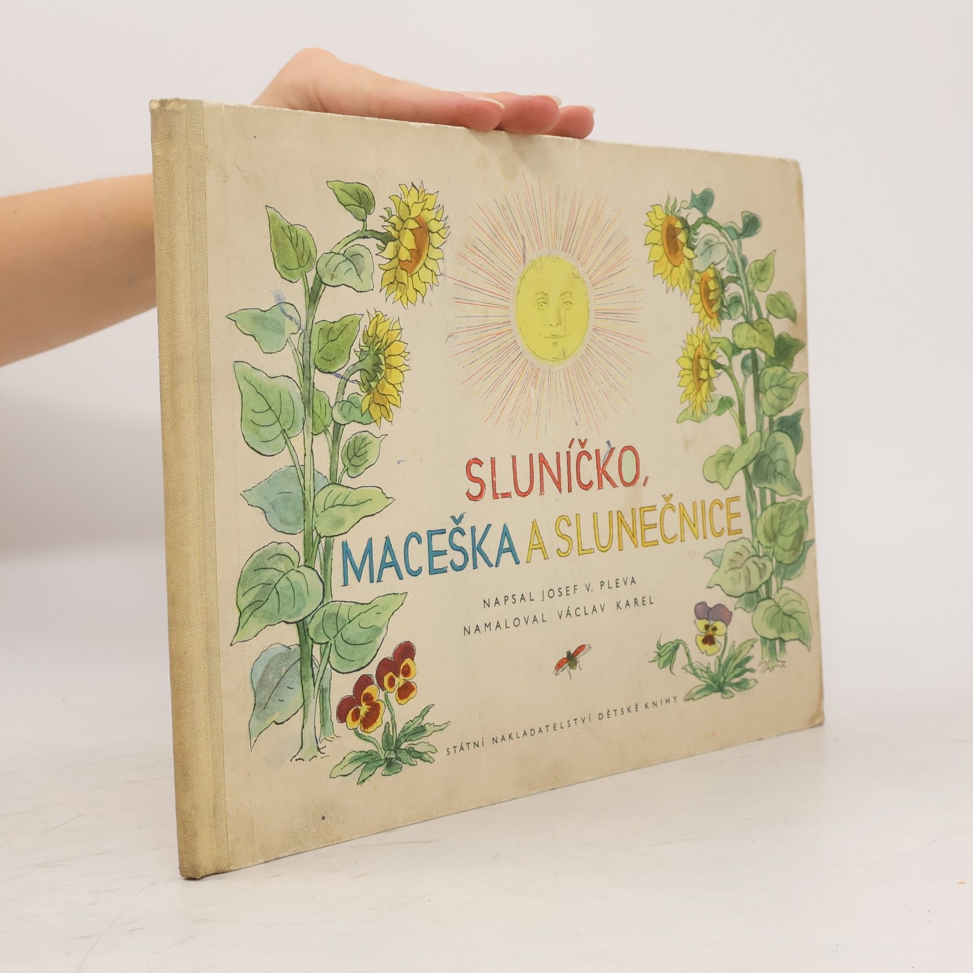 Josef Věromír Pleva Sluníčko, maceška a slunečnice