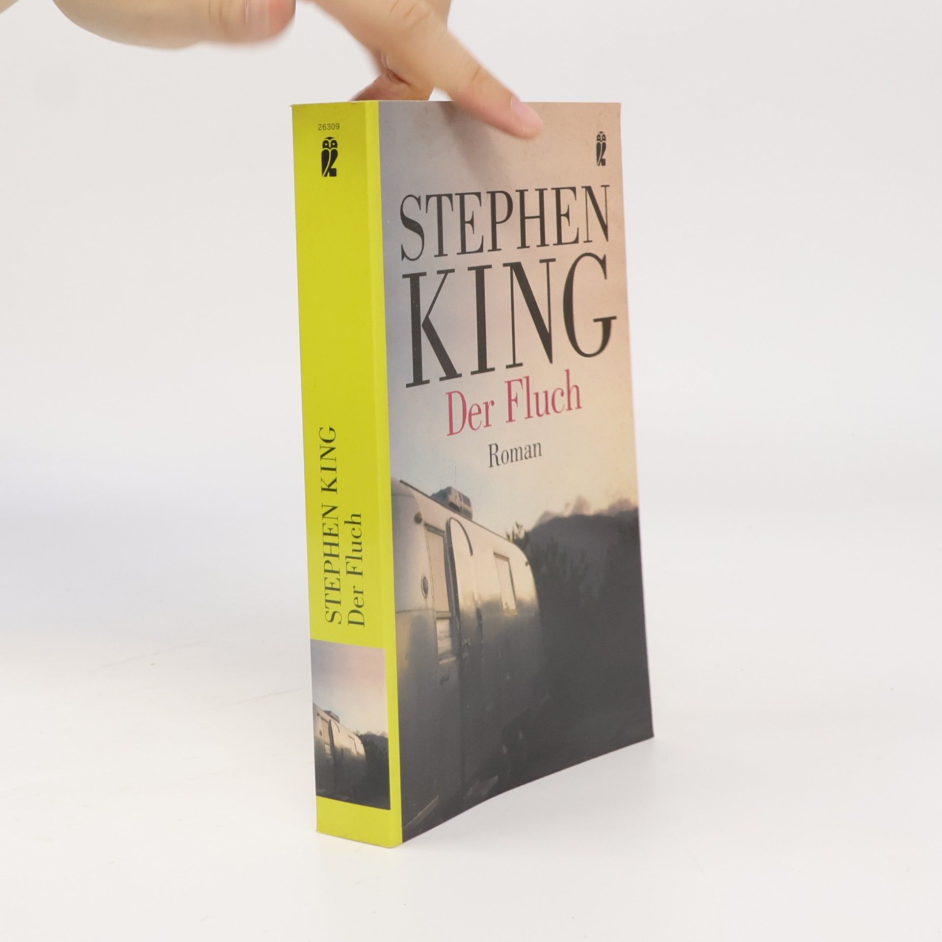 Stephen King Der Fluch