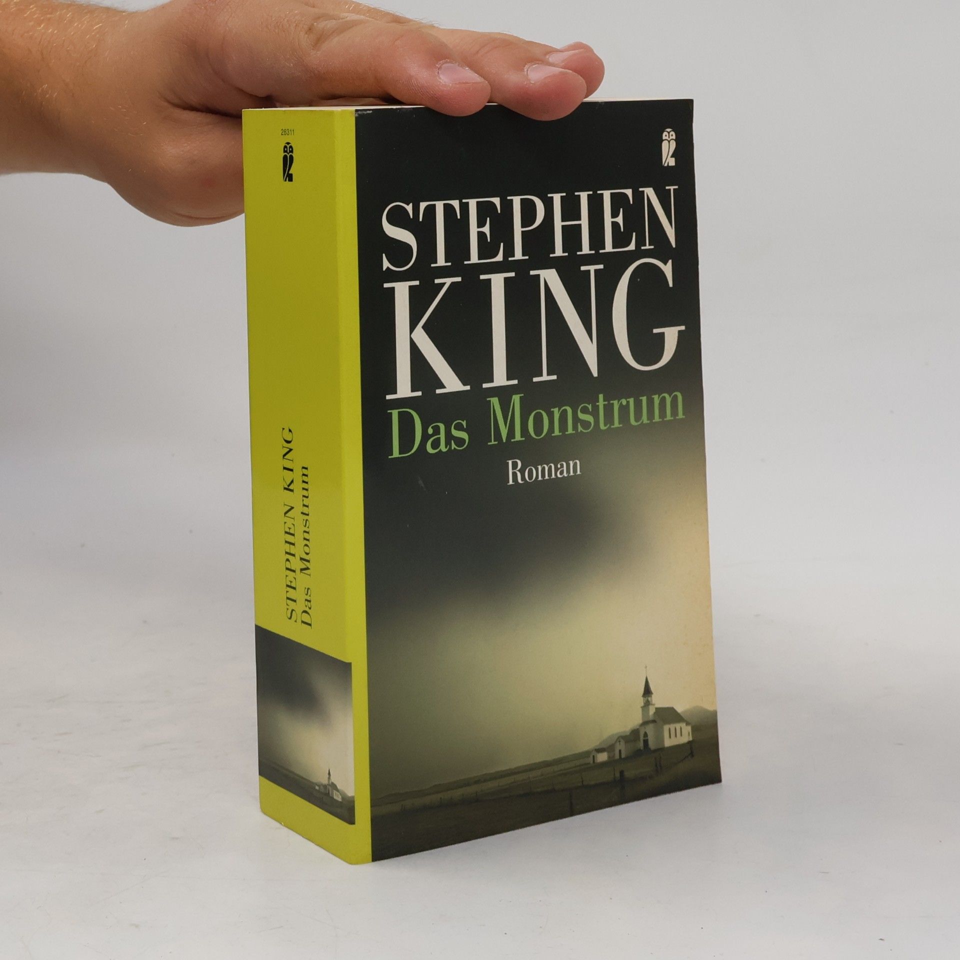 Stephen King Das Monstrum
