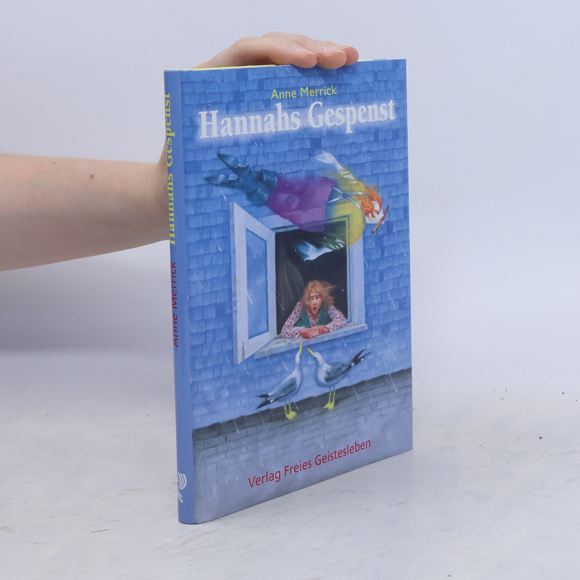 Anne Merrick Hannahs Gespenst