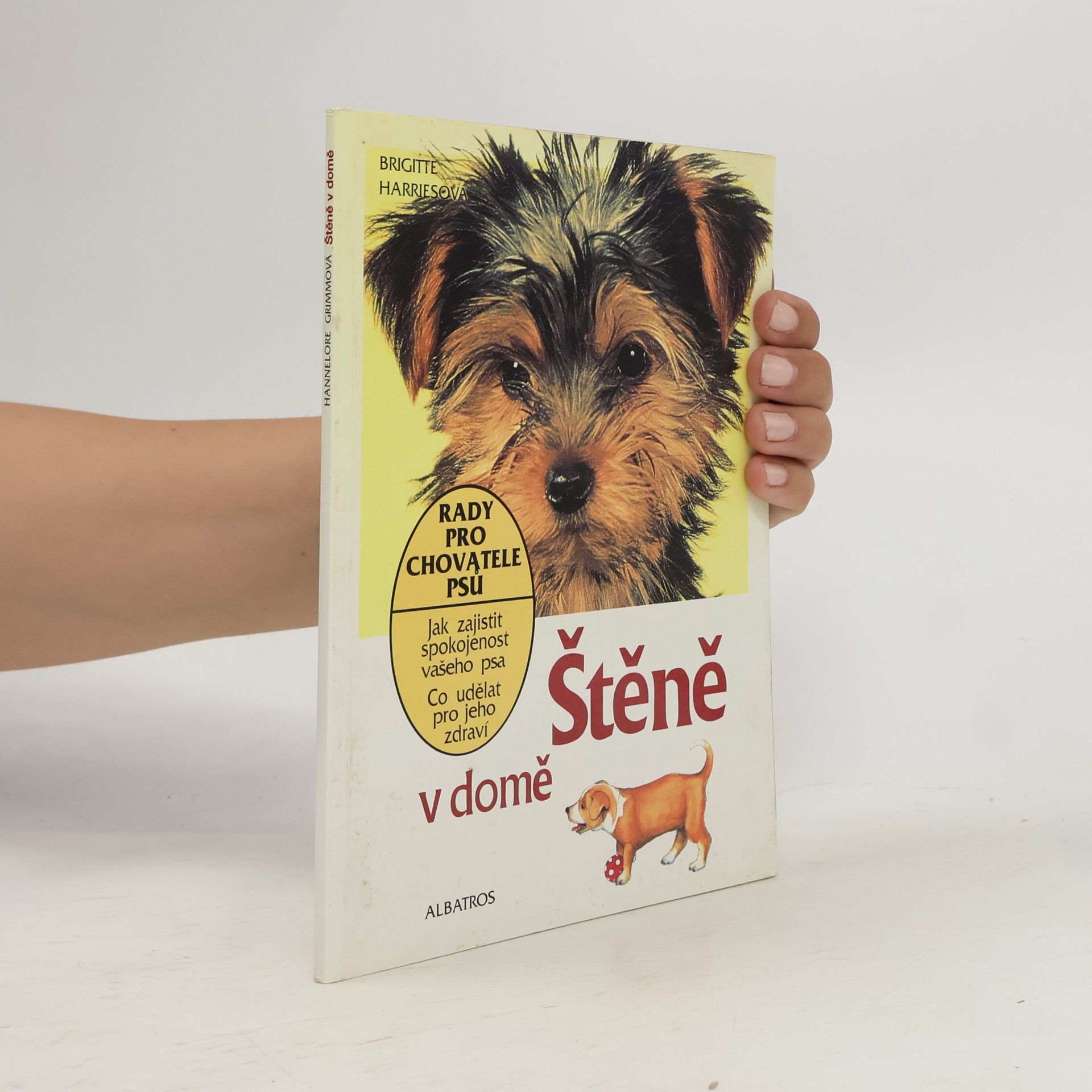 Štěně v domě