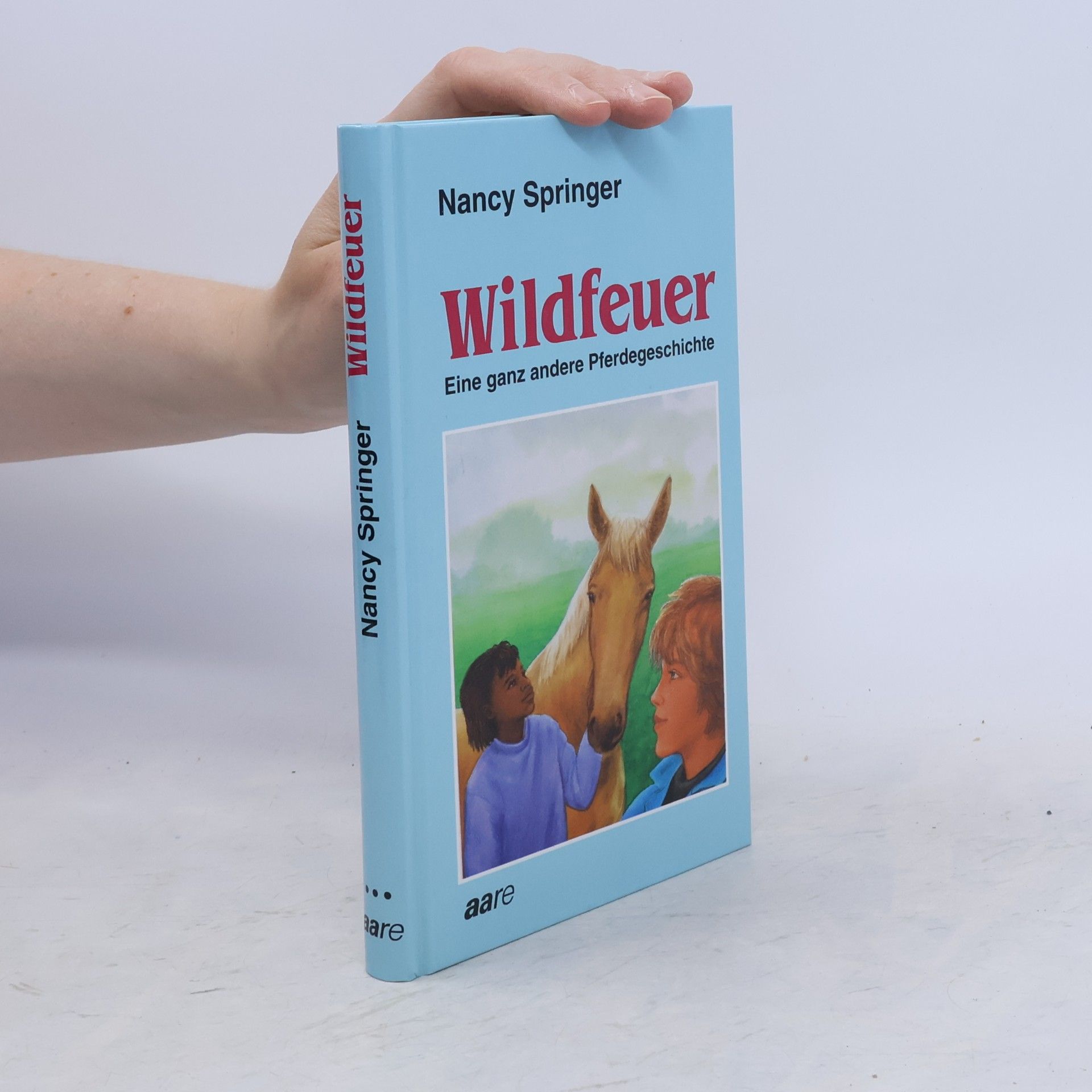 Nancy Springer Wildfeuer