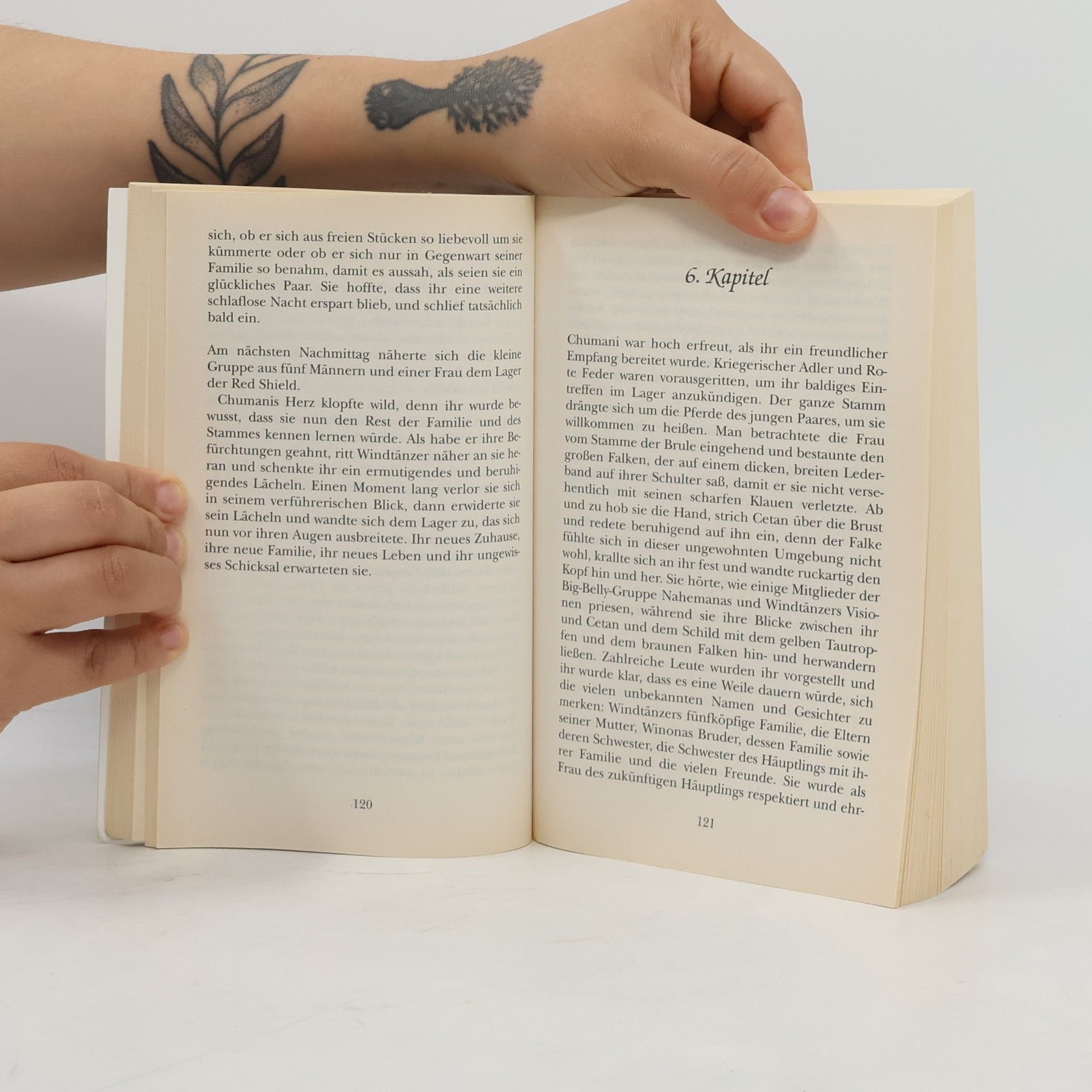 Janelle Taylor Wildes Land, wilde Leidenschaft.
