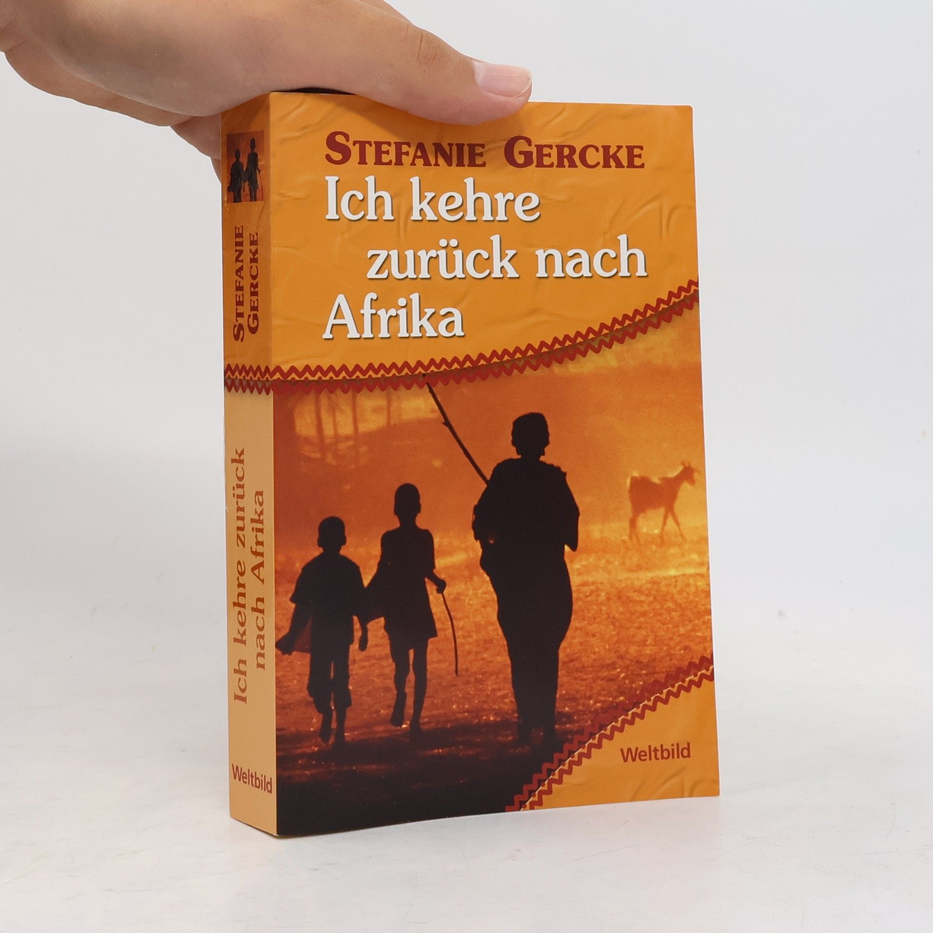 Stefanie Gercke Ich kehre zurück nach Afrika
