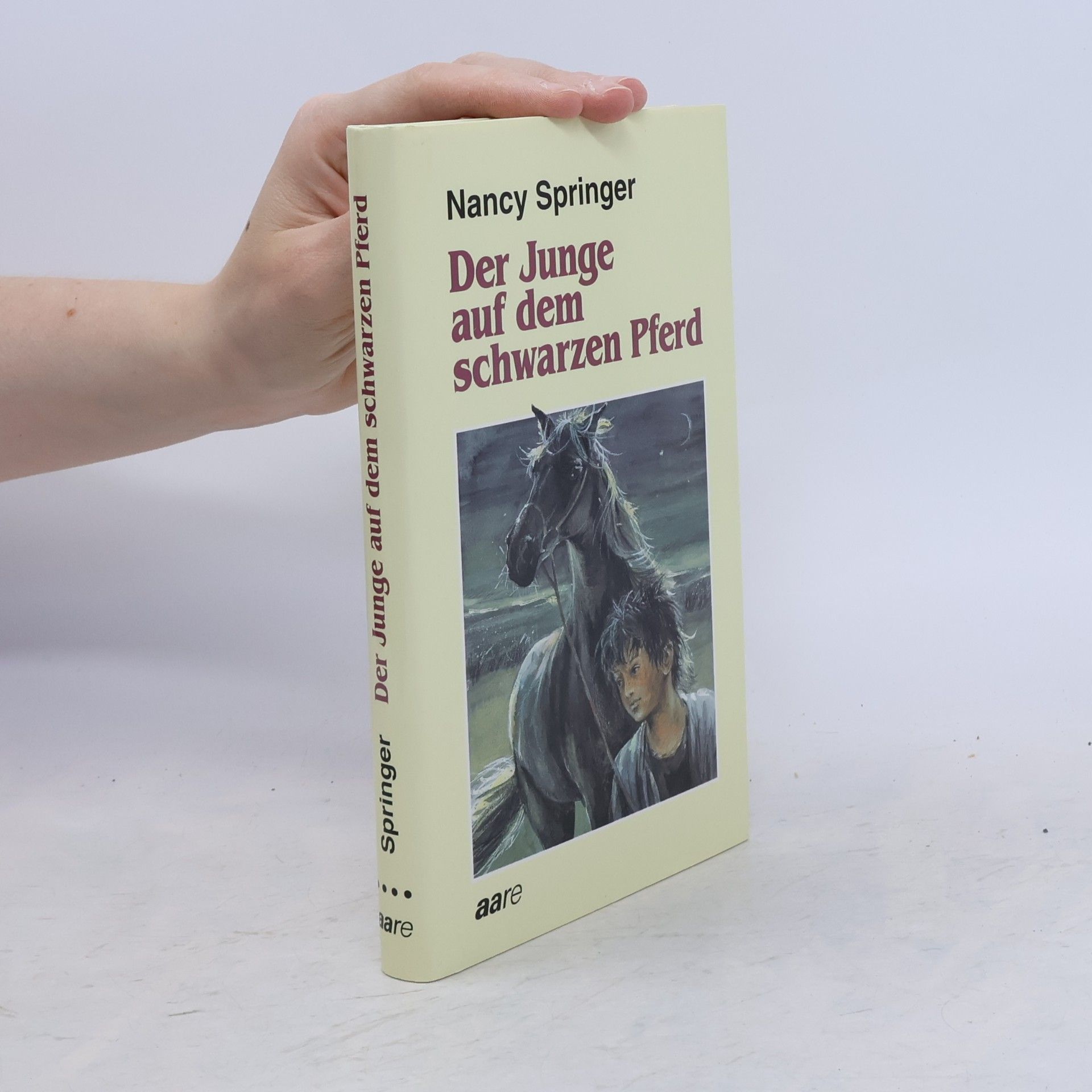 Nancy Springer Der Junge auf dem schwarzen Pferd