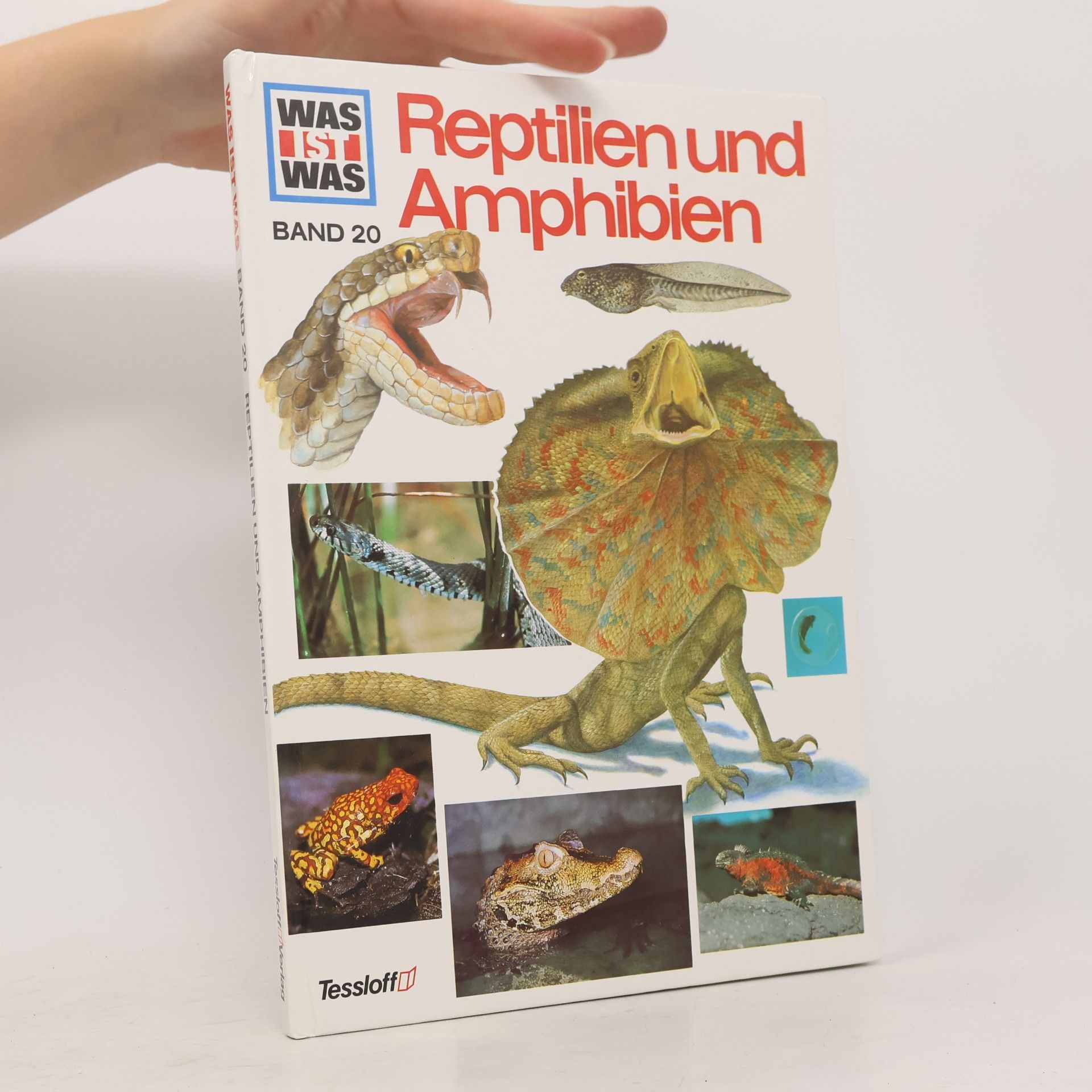 Manfred Niekisch Reptilien und Amphibien
