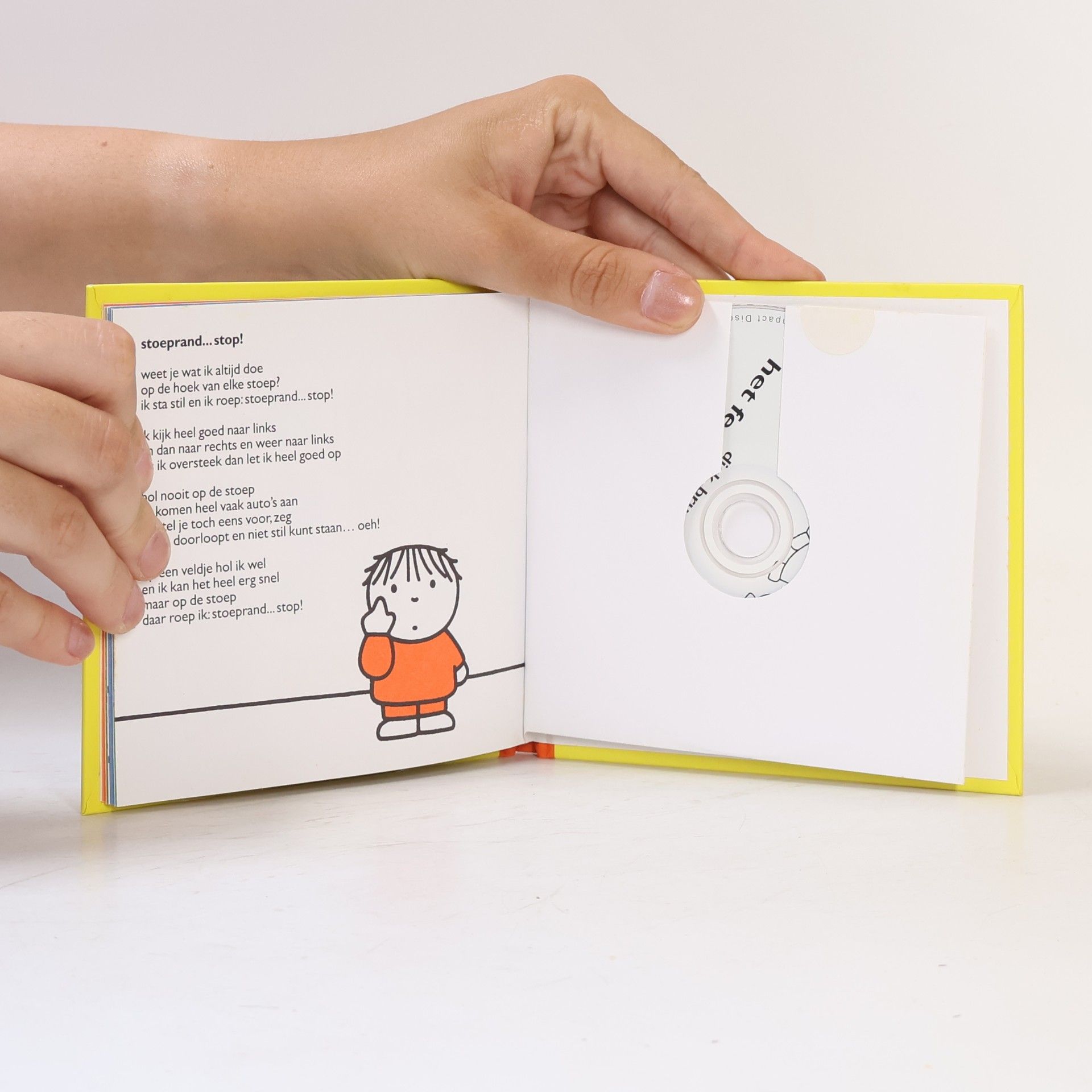 Dick Bruna Het Feest van Nijntje