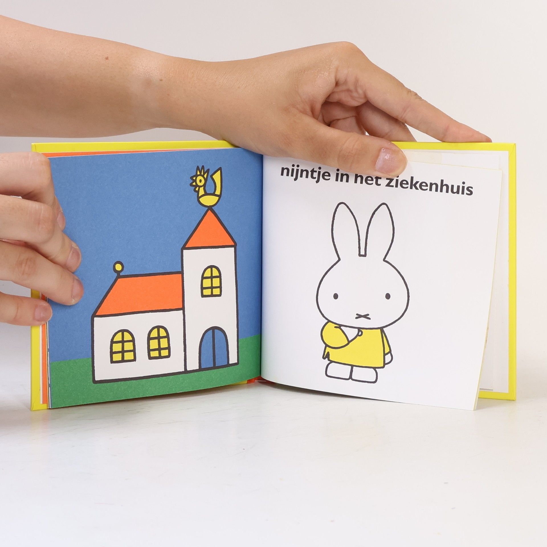 Dick Bruna Het Feest van Nijntje