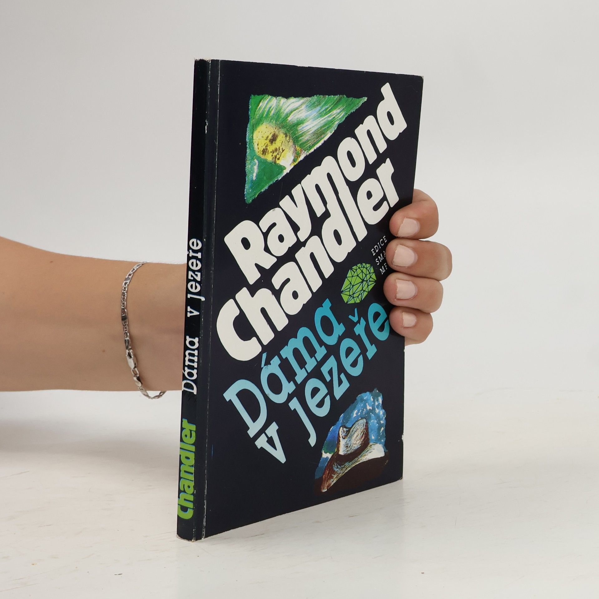 Raymond Chandler Dáma v jezeře