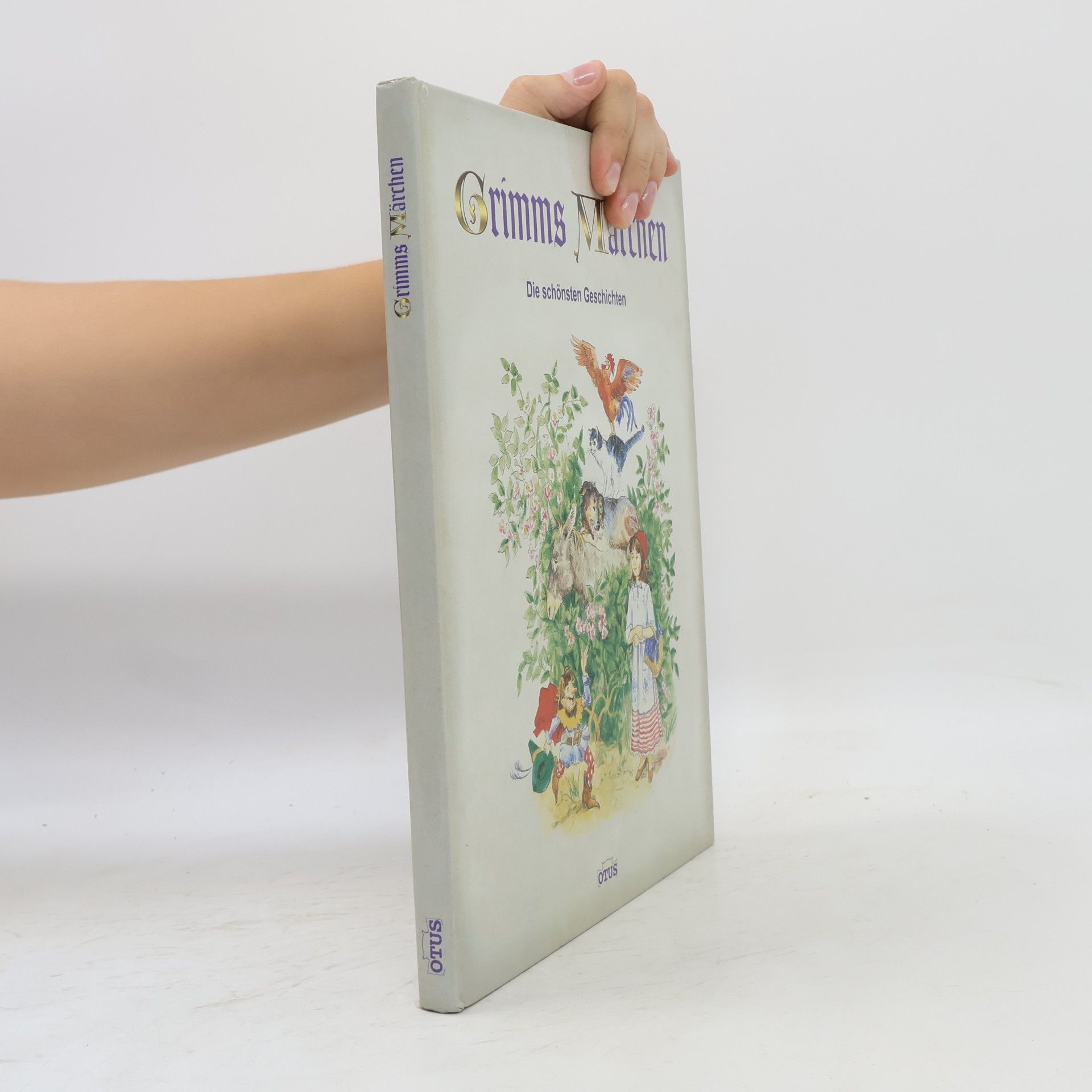 Autorenkollektiv Grimms Märchen