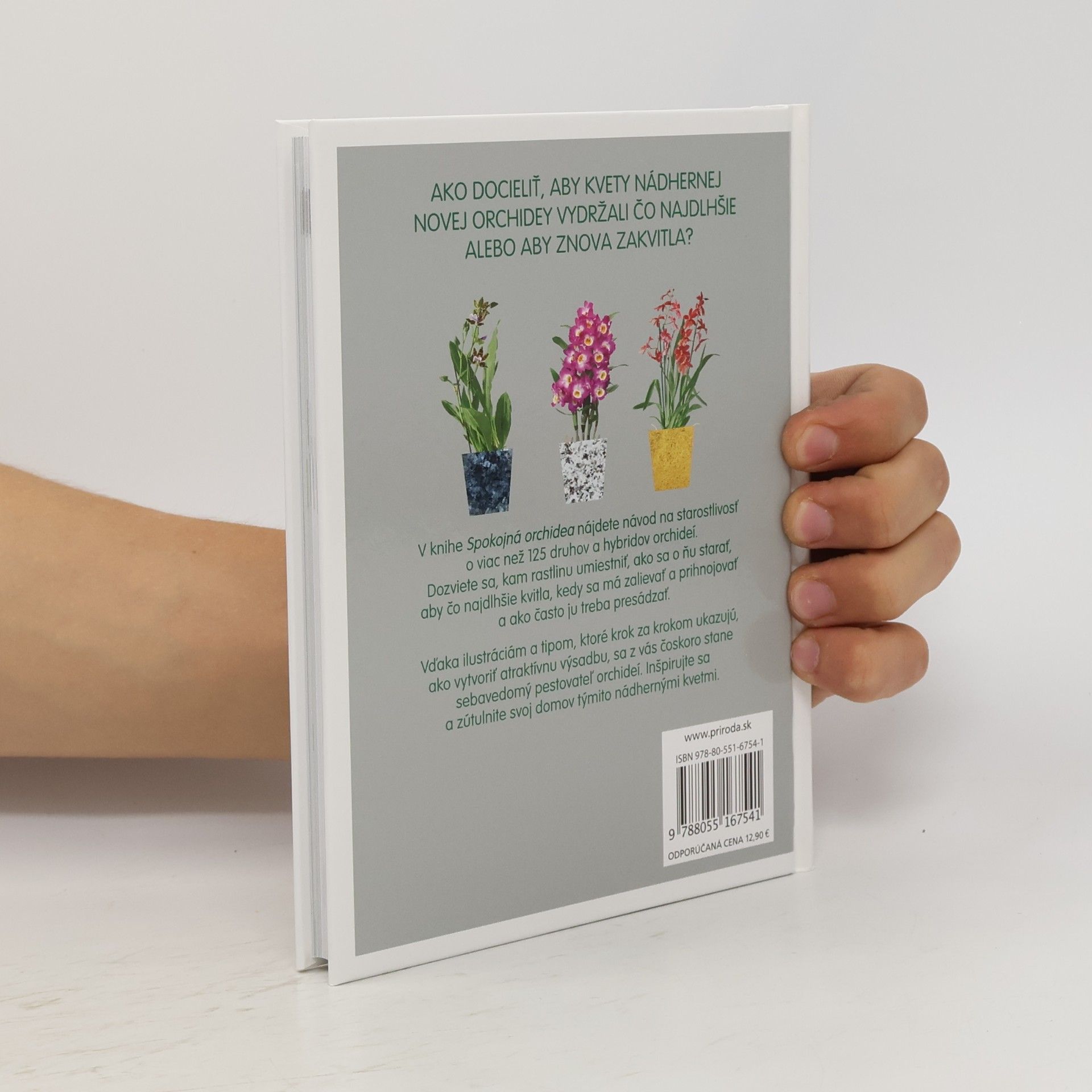Sara Rittershausen Spokojná orchidea