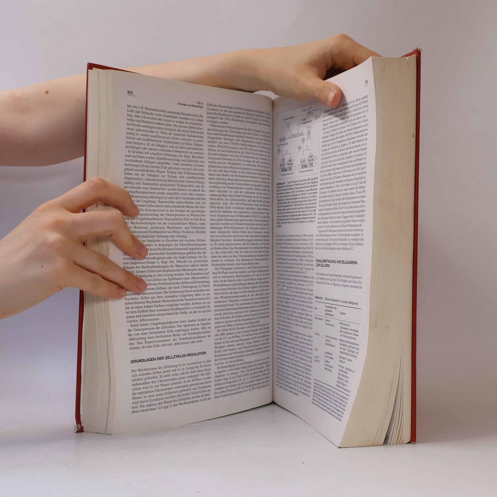 Various authors Harrisons Innere Medizin 1