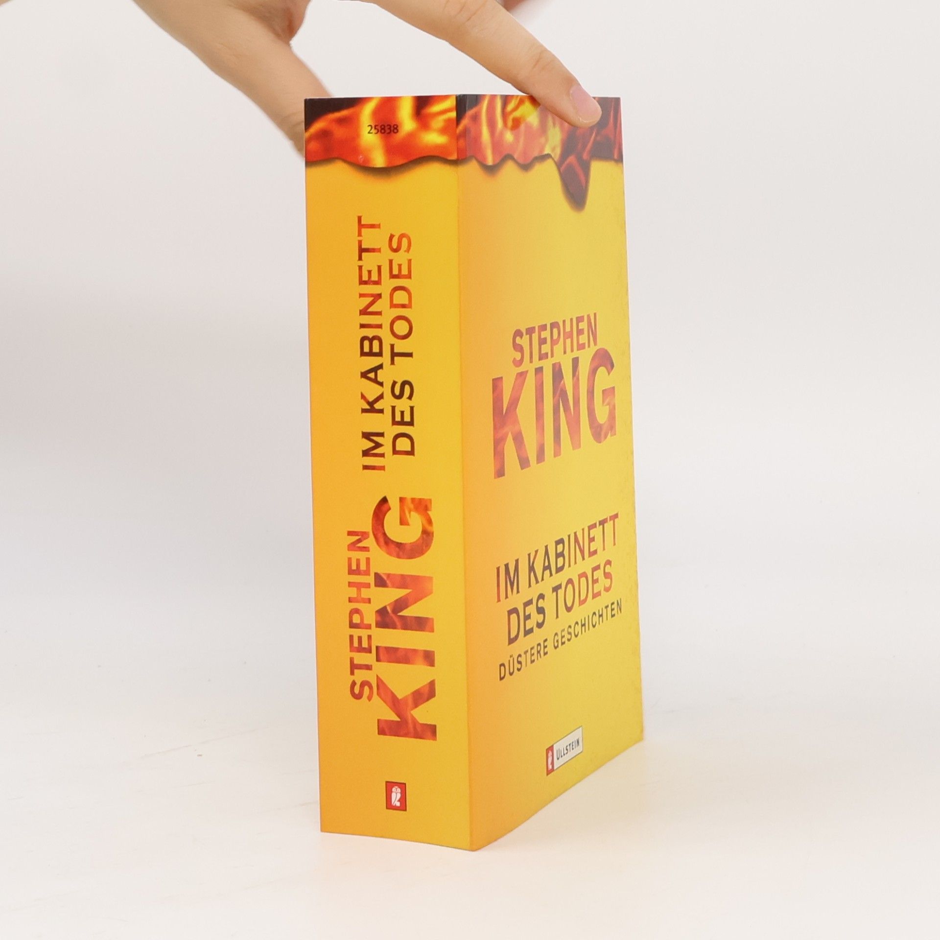 Stephen King Im Kabinett des Todes