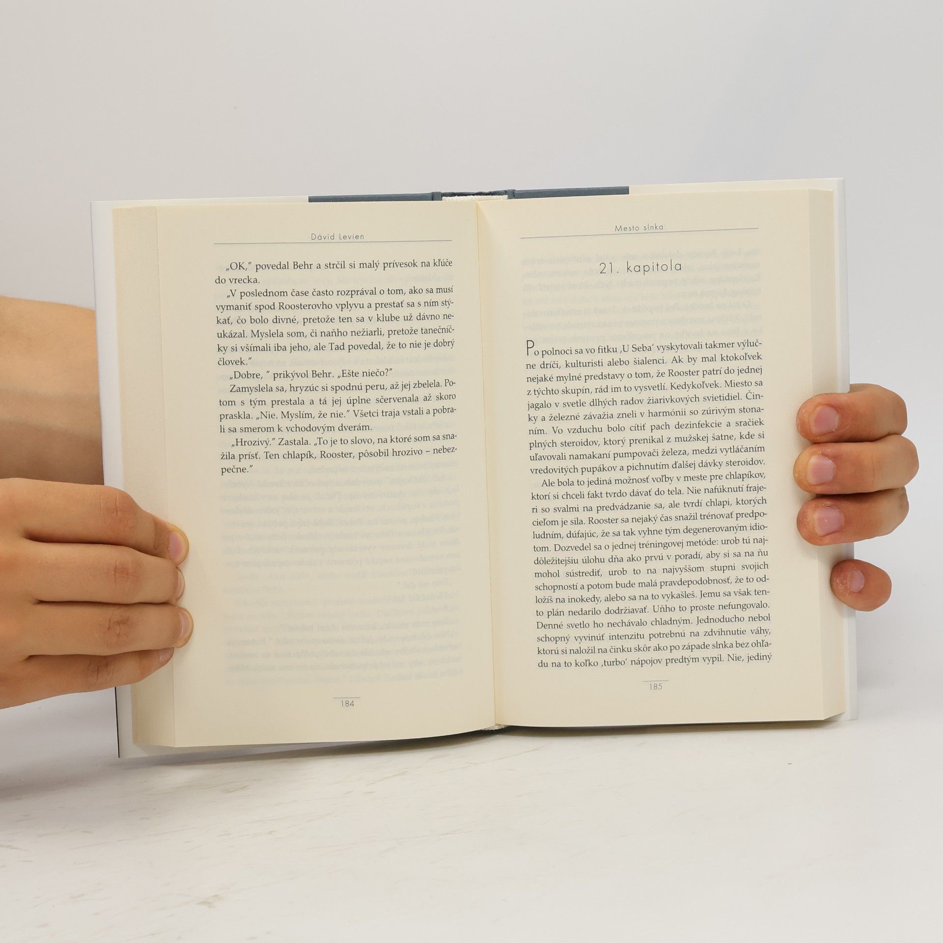 David Levien Mesto slnka