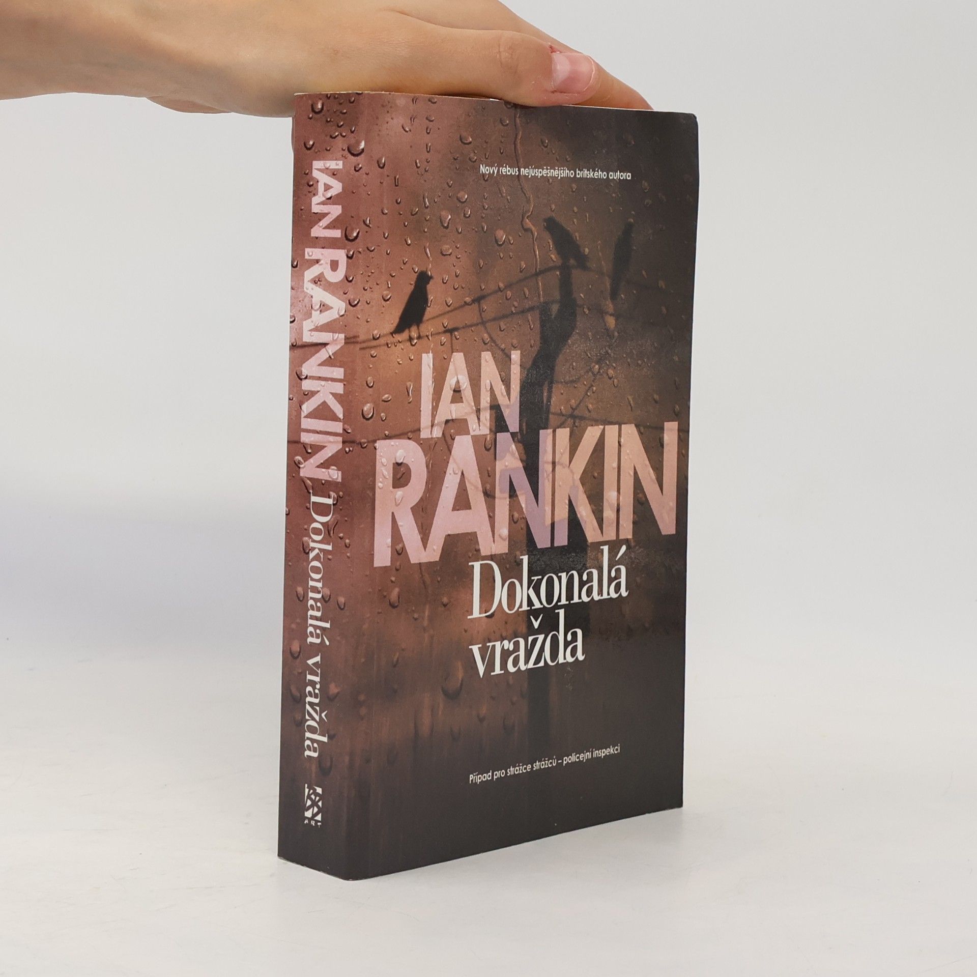 Ian Rankin Dokonalá vražda