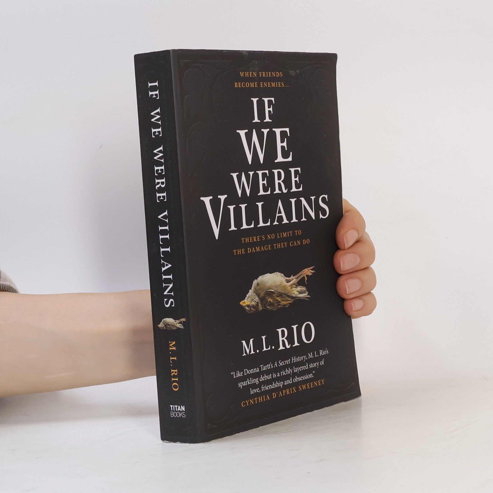 M. L. Rio If We Were Villains
