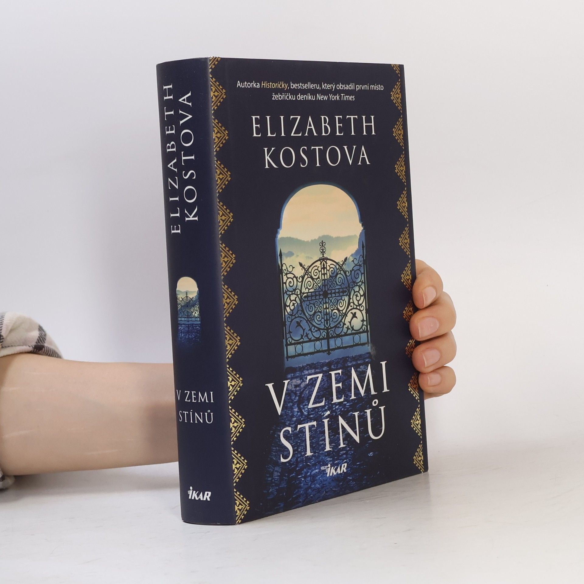 Elizabeth Kostova V zemi stínů