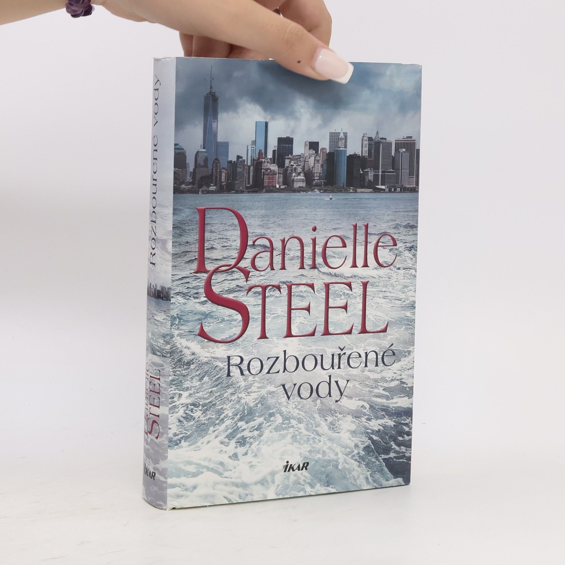Danielle Steel Rozbouřené vody