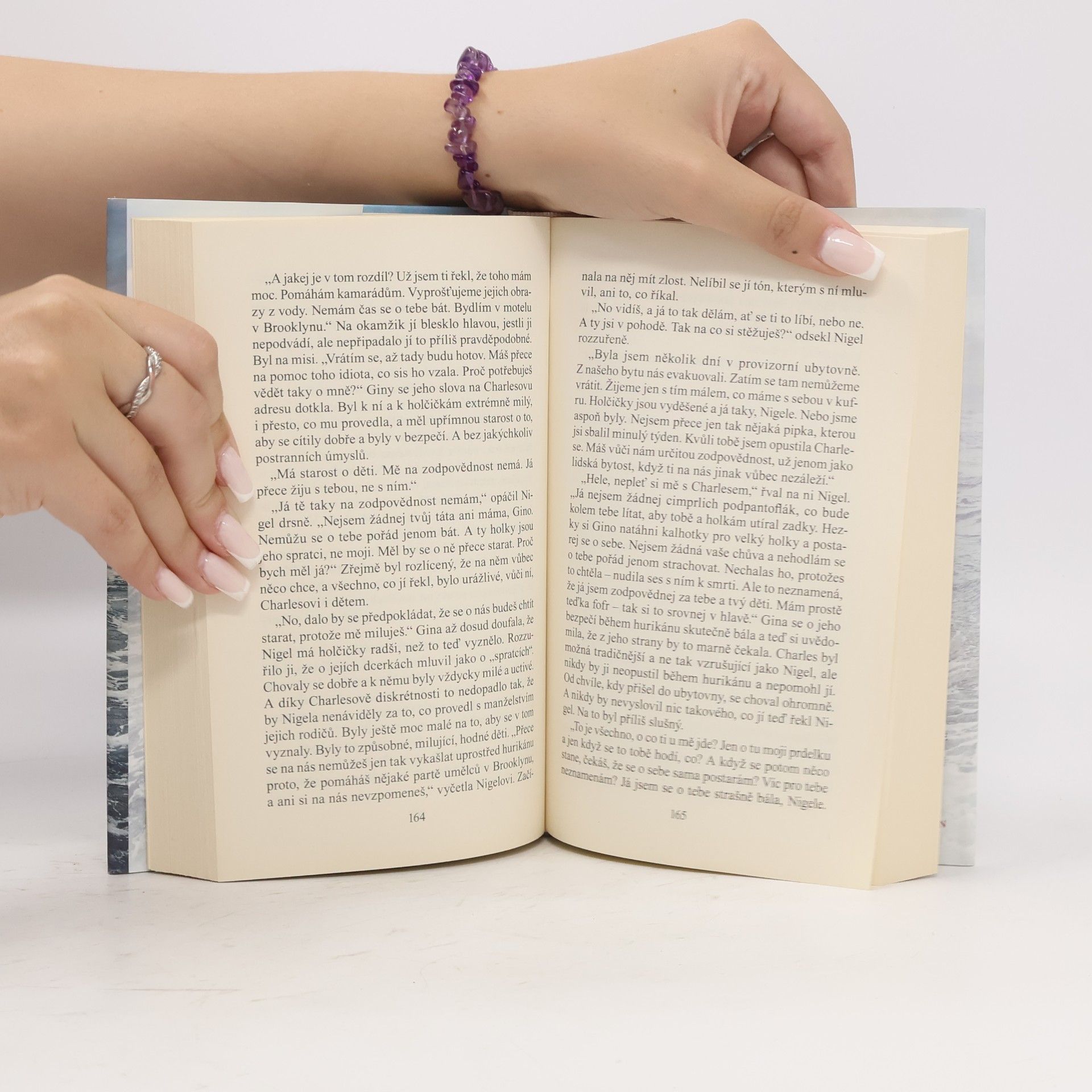 Danielle Steel Rozbouřené vody
