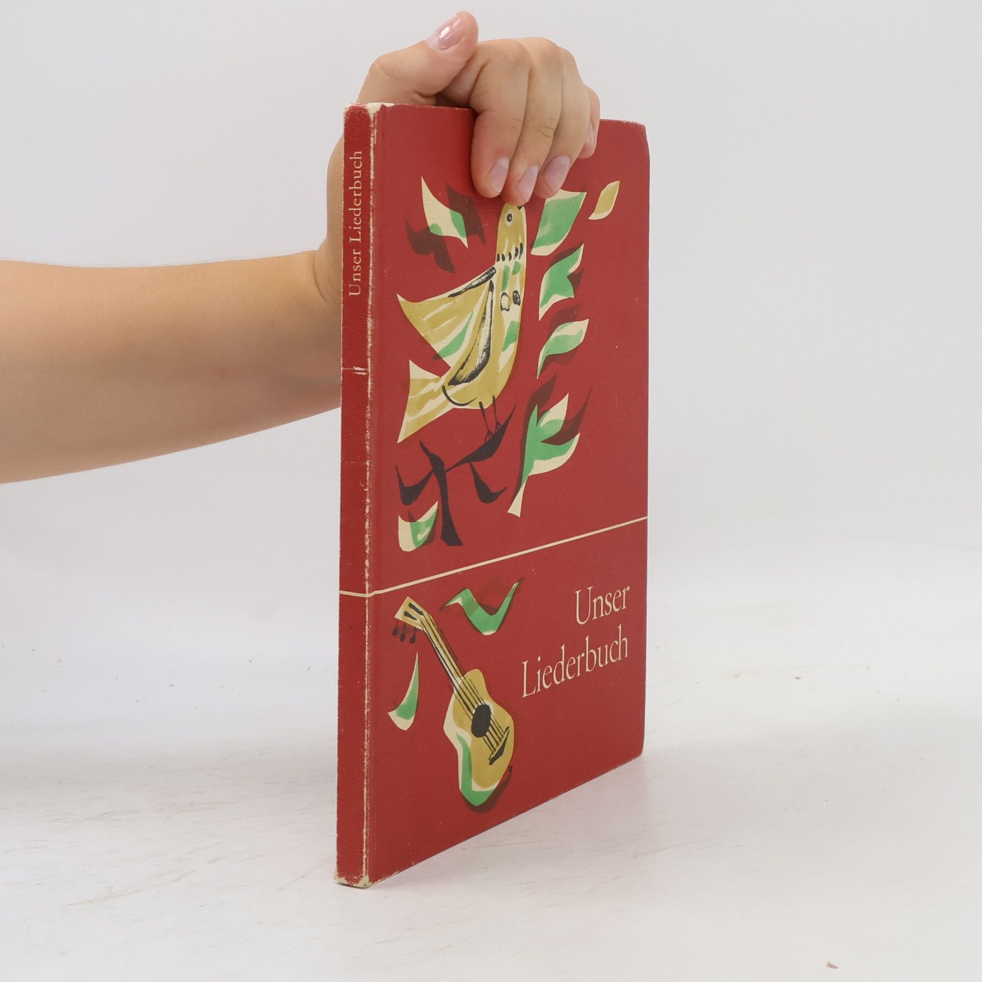 Kolektiv autorů Unser Liederbuch