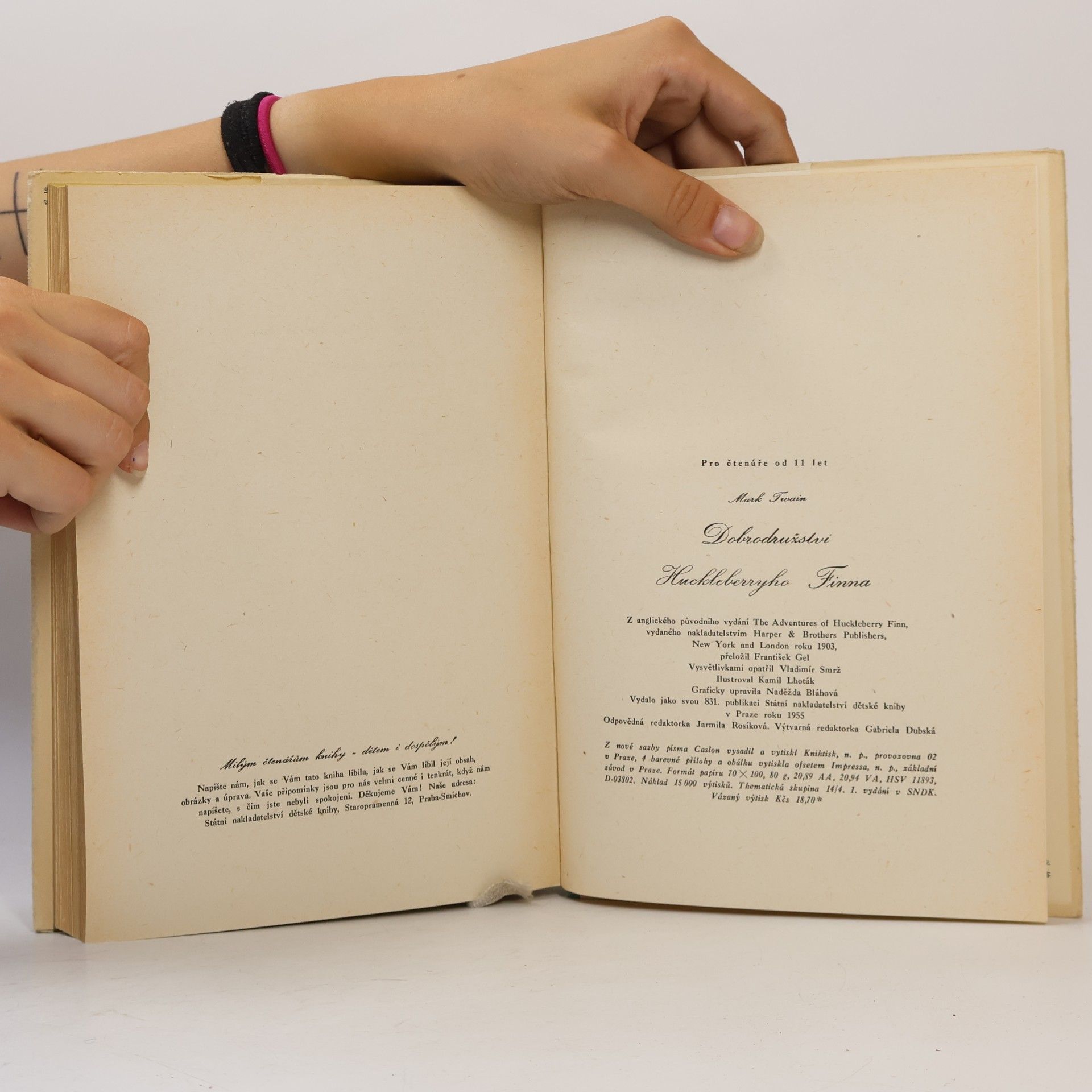 Mark Twain Dobrodružství Huckleberryho Finna