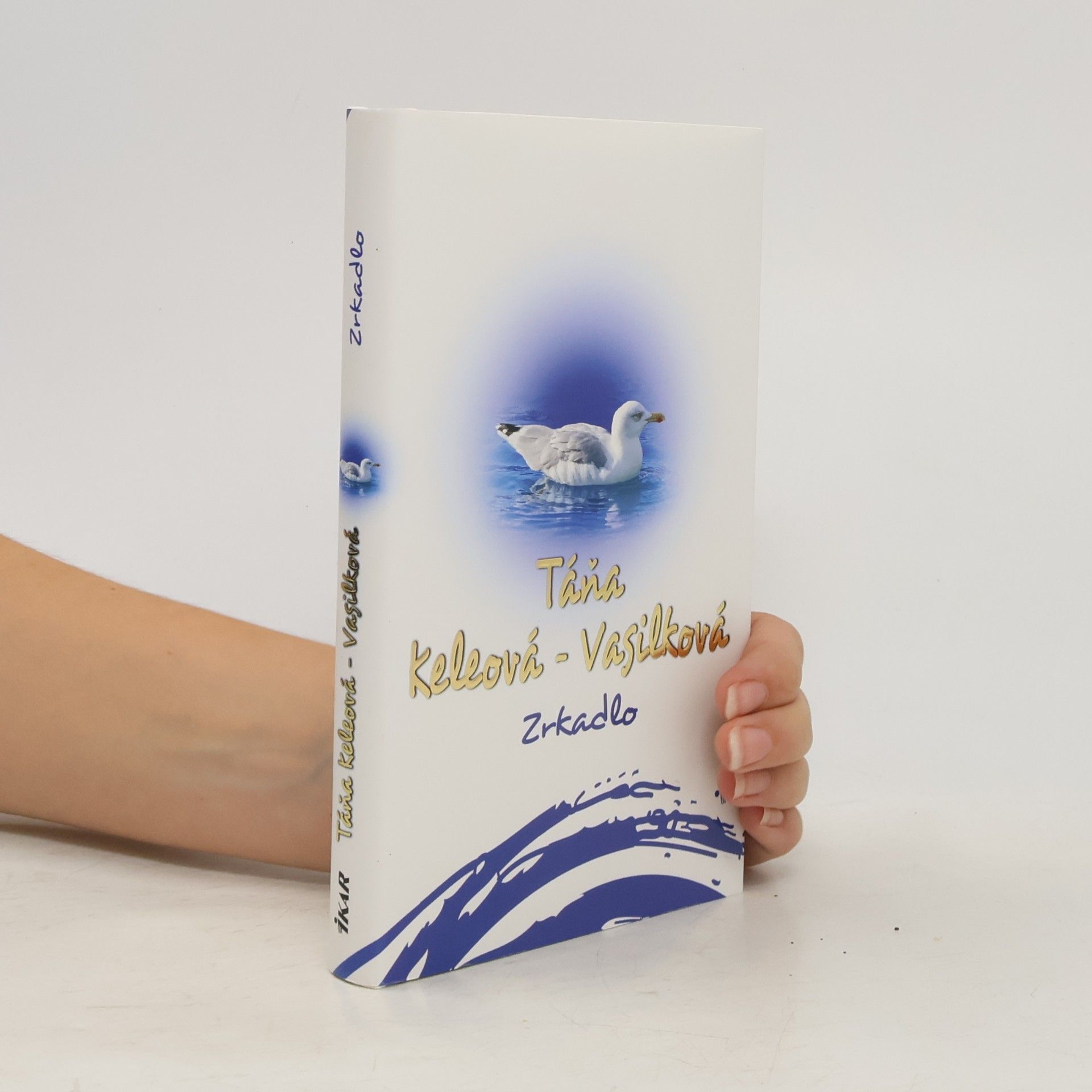 Táňa Keleová-Vasilková Zrkadlo