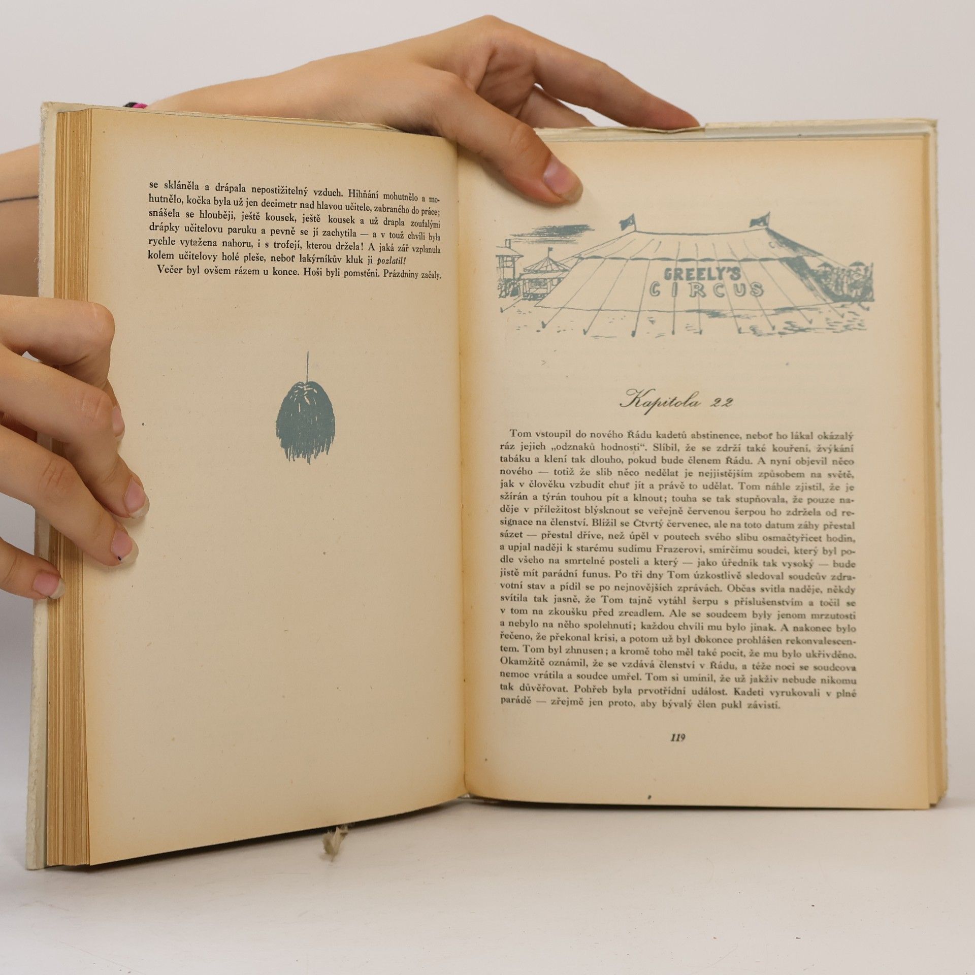 Mark Twain Dobrodružství Toma Sawyera