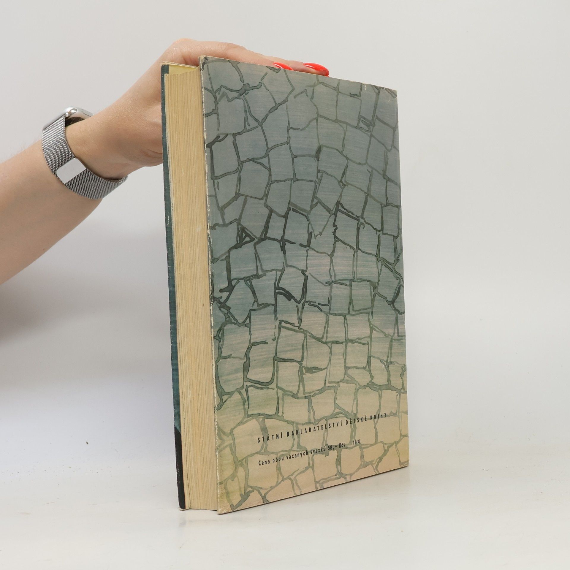 Victor Hugo Ubožáci I.