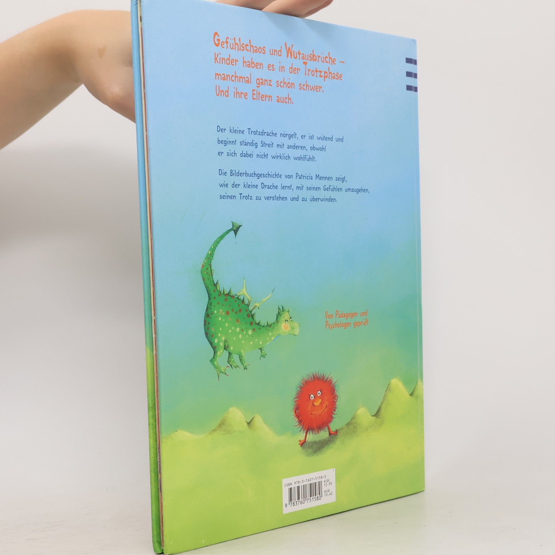 Patricia Mennen Der kleine Trotzdrache