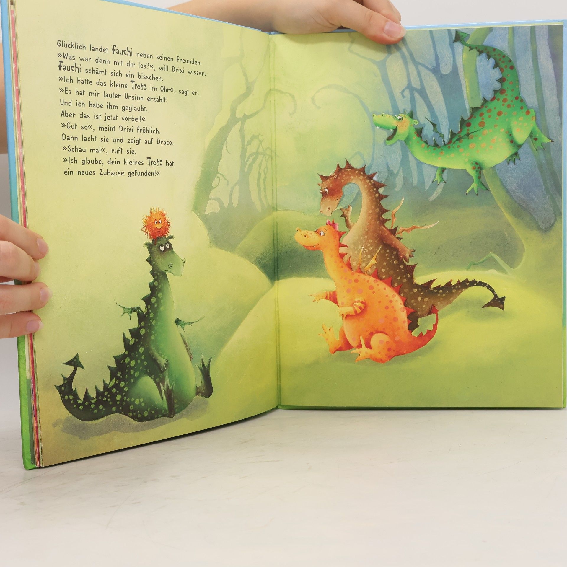 Patricia Mennen Der kleine Trotzdrache