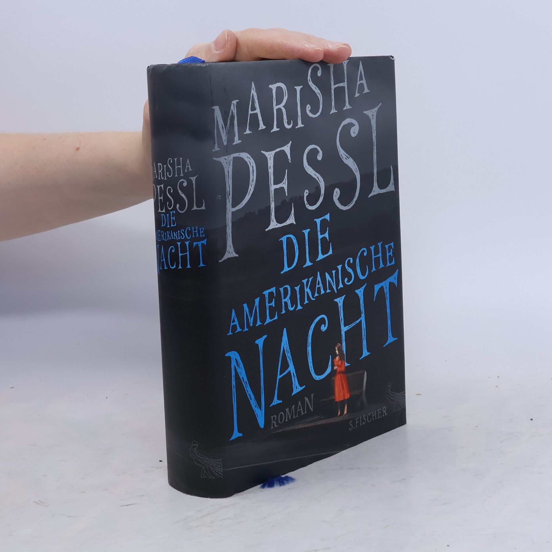 Marisha Pessl Die amerikanische Nacht