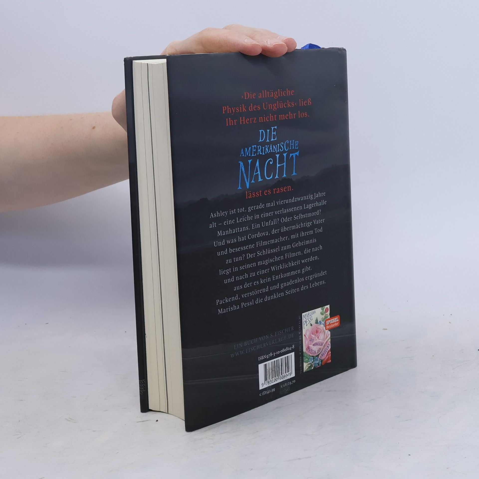 Marisha Pessl Die amerikanische Nacht