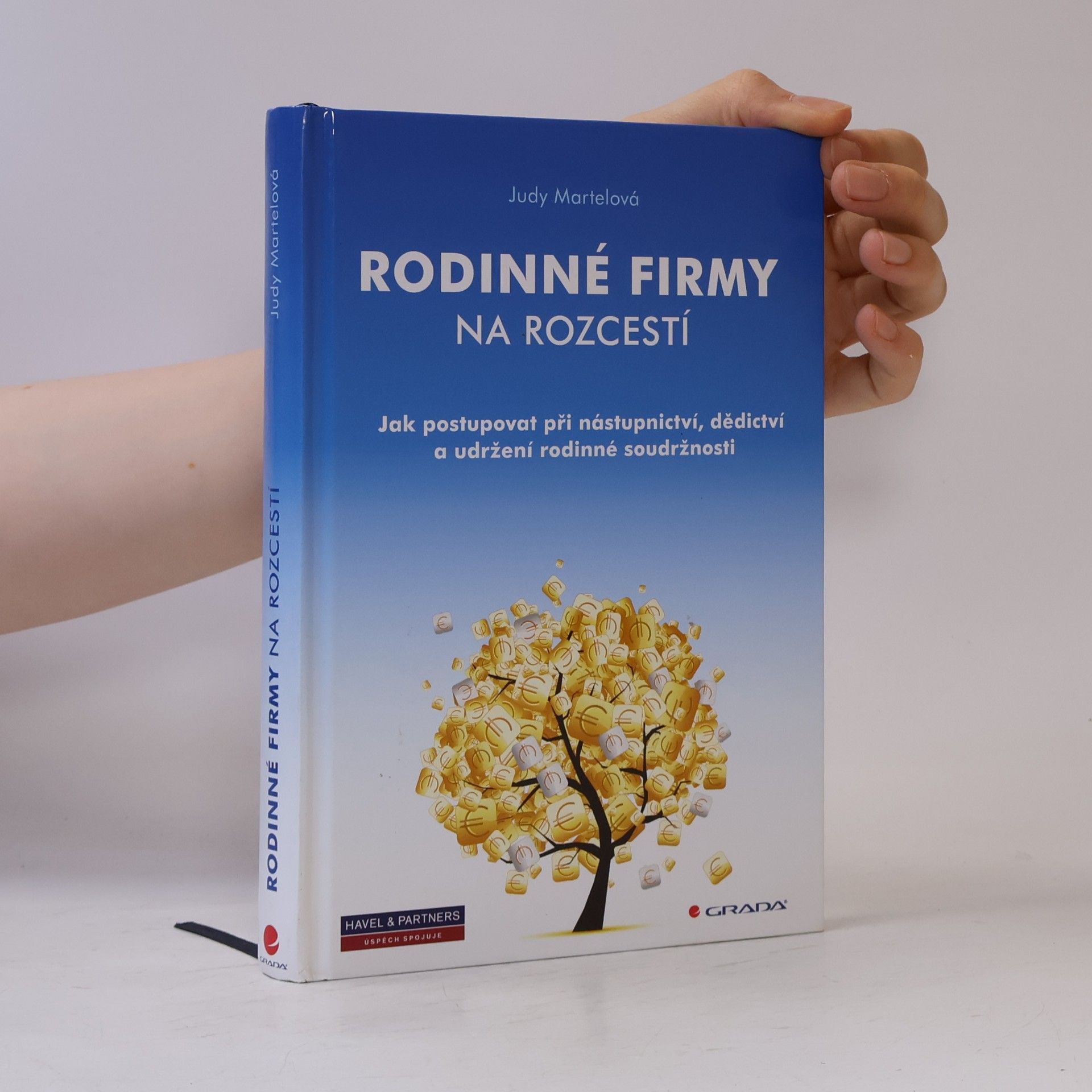 Judy Martel Rodinné firmy na rozcestí