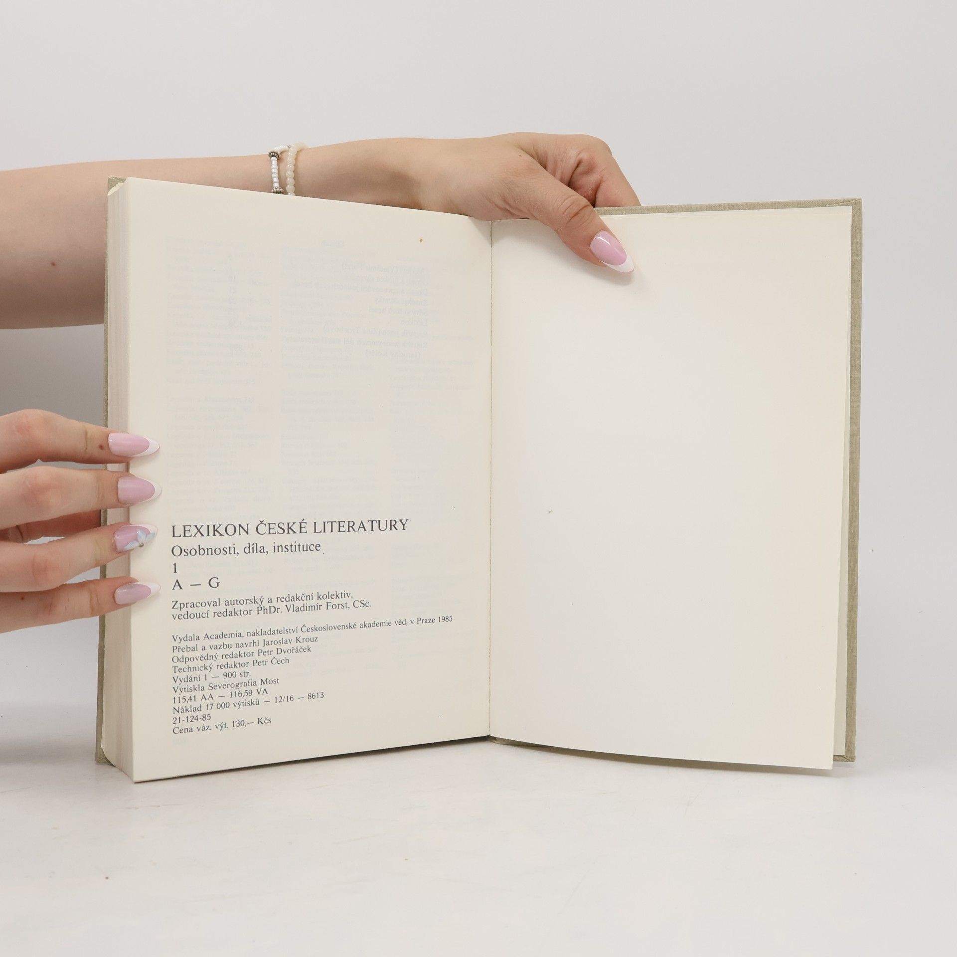 Autorenkollektiv Lexikon české literatury 1. A - G
