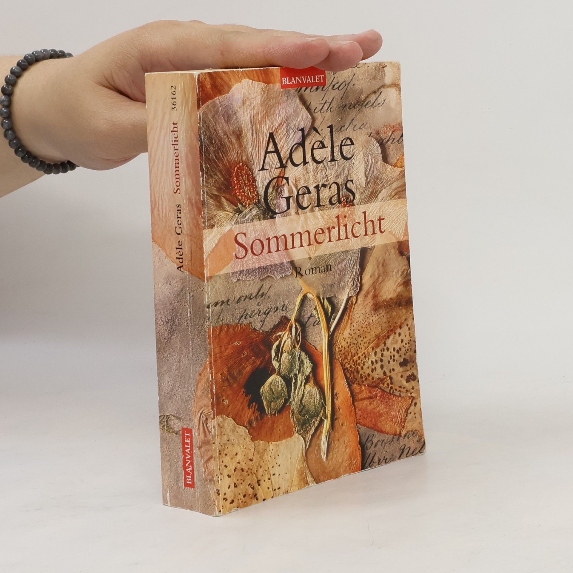 Adèle Geras Sommerlicht