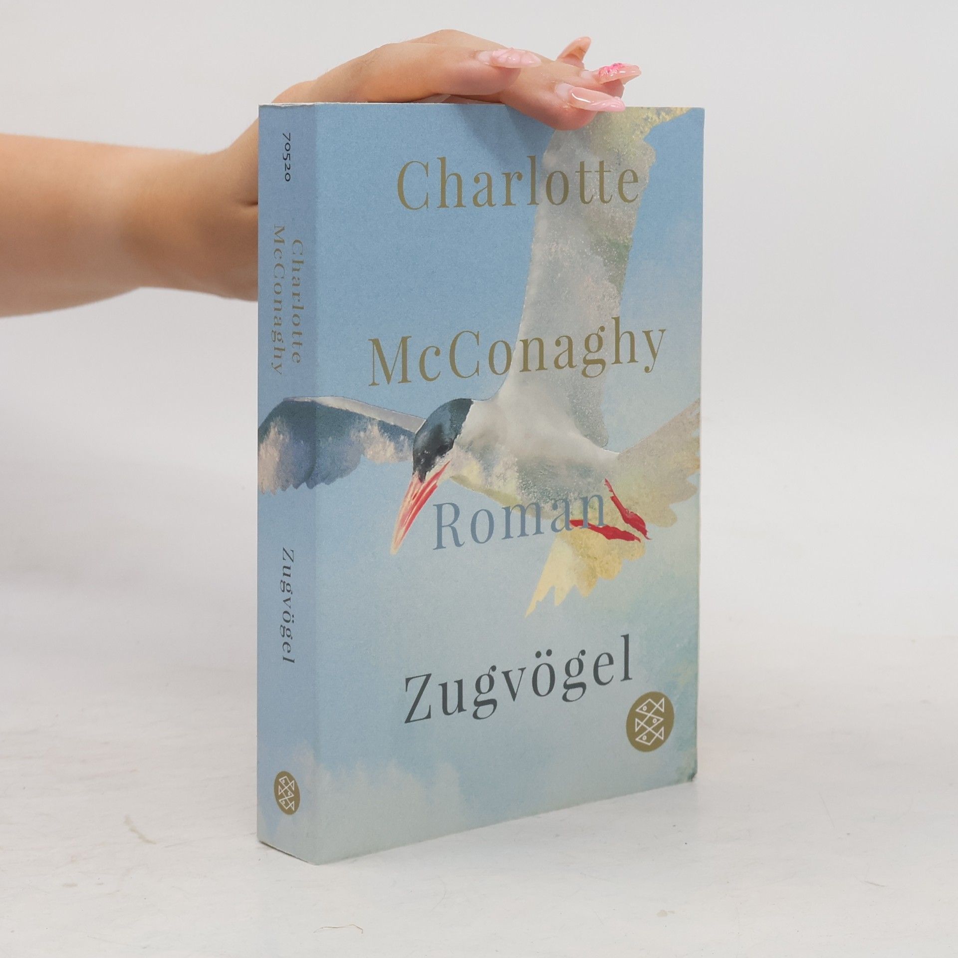 CHARLOTTE. MCCONAGHY Zugvögel